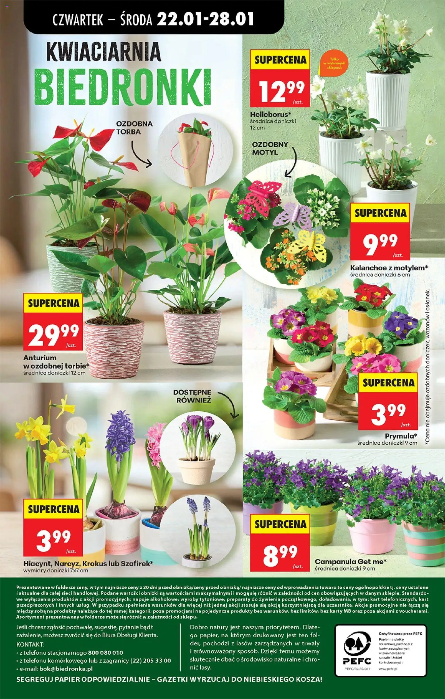Biedronka gazetka - Oferta w tym tygodniu od 22.01.2026 | Strona: 78 | Produkty: Torba, Napoje, Doniczki, Kalanchoe