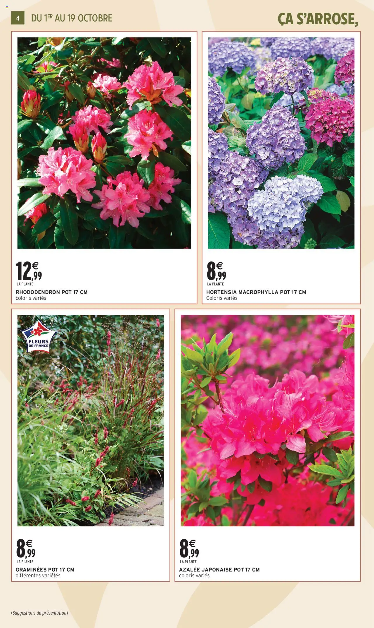  | Page: 4 | Produits: Hortensia, Rhododendron