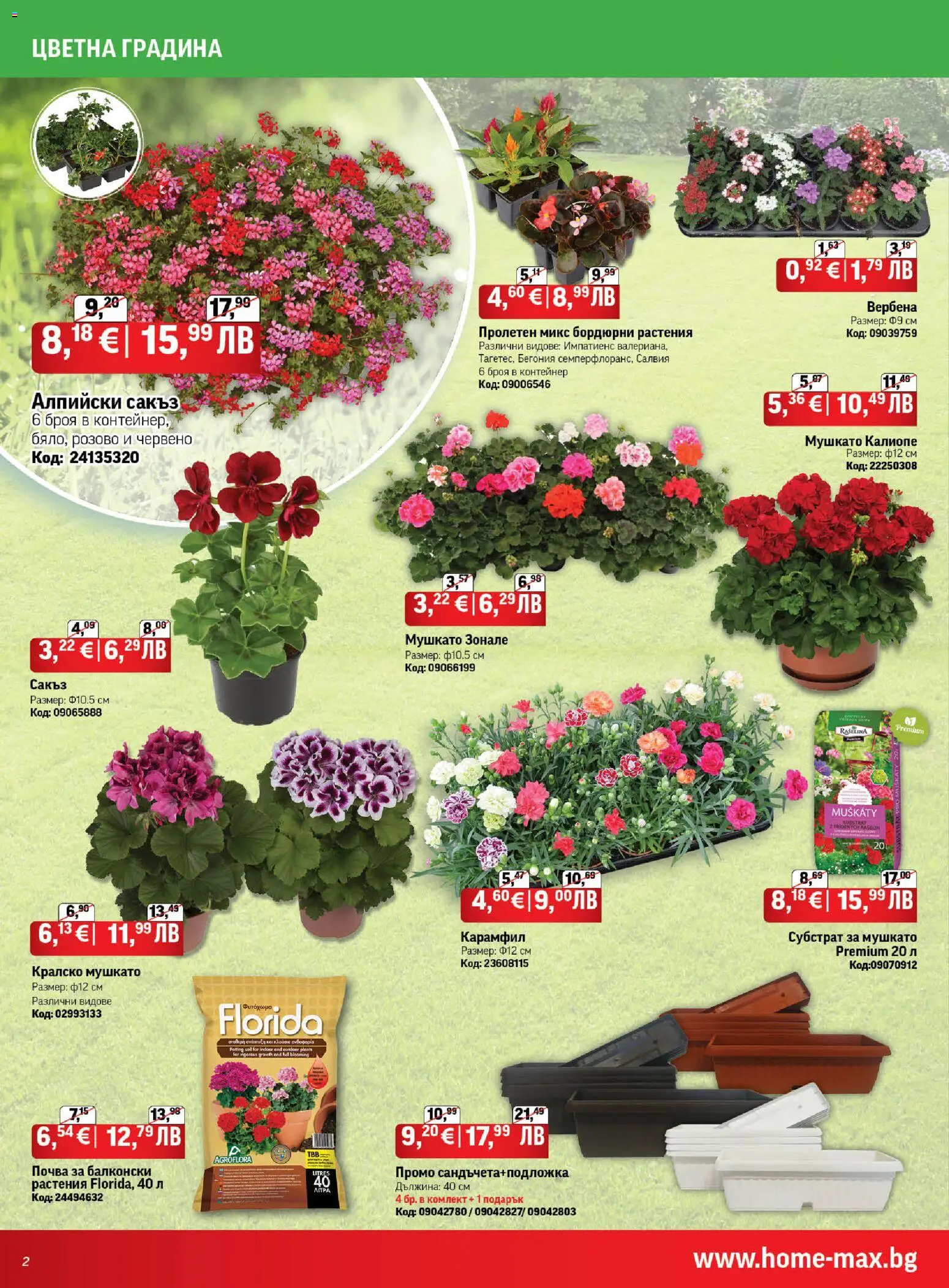 {H1} | Страница: 2 | Продукти: Карамфил, Контейнер