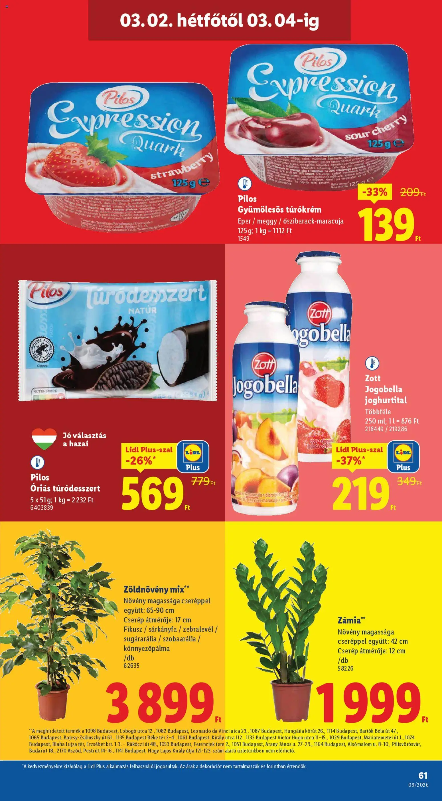 Lidl akciós ujság - amely érvényes a következő dátumtól: 26.02.2026 | Oldal: 61 | Termékek: Meggy, Eper