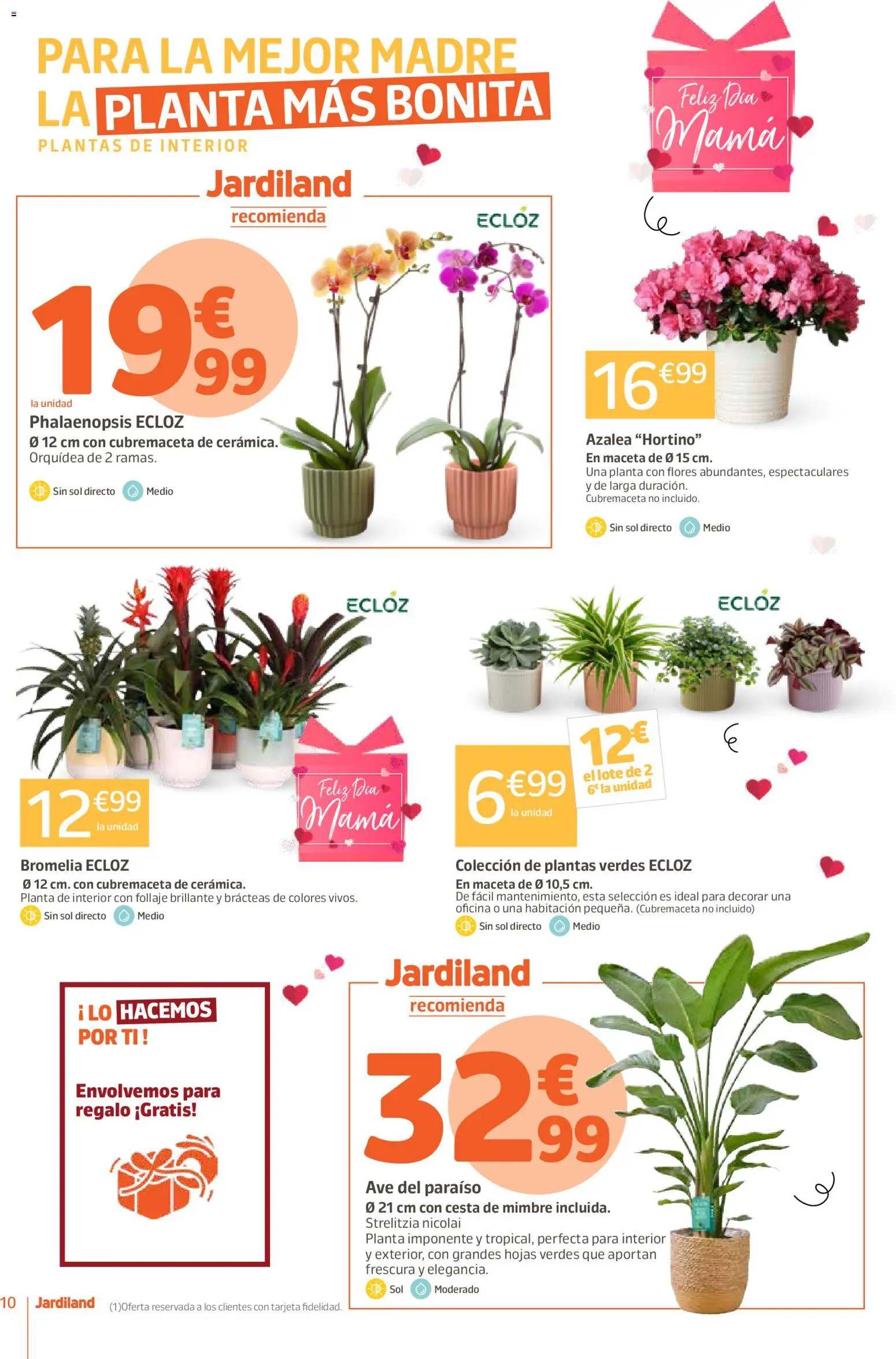 Jardiland folleto │ válido desde el 23.04.2026 | Página: 10 | Productos: Cesta de mimbre, Cesta, Maceta
