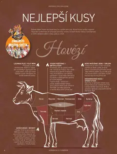 Náhled letáku HORNBACH leták - Magazín o grilování od 01.01.2026 | Strana: 6