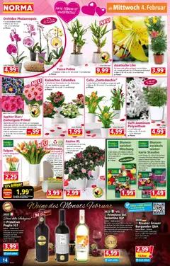 Norma Prospekt 	 ab 02.02.2026 gültig | Seite: 14