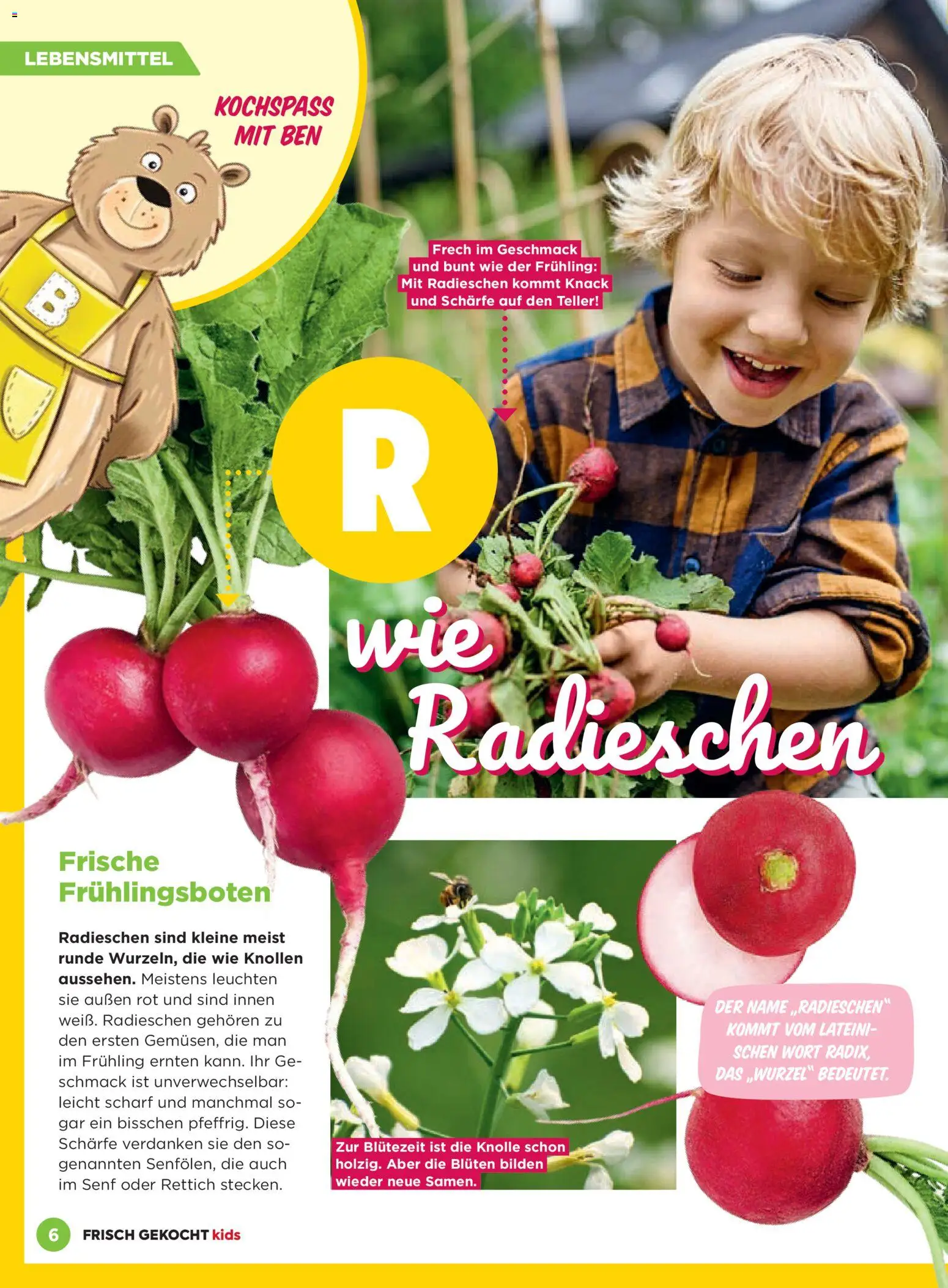 Billa Frisch Gekocht Kids gültig ab 01.03.2026 | Seite: 6 | Produkte: Libacomb