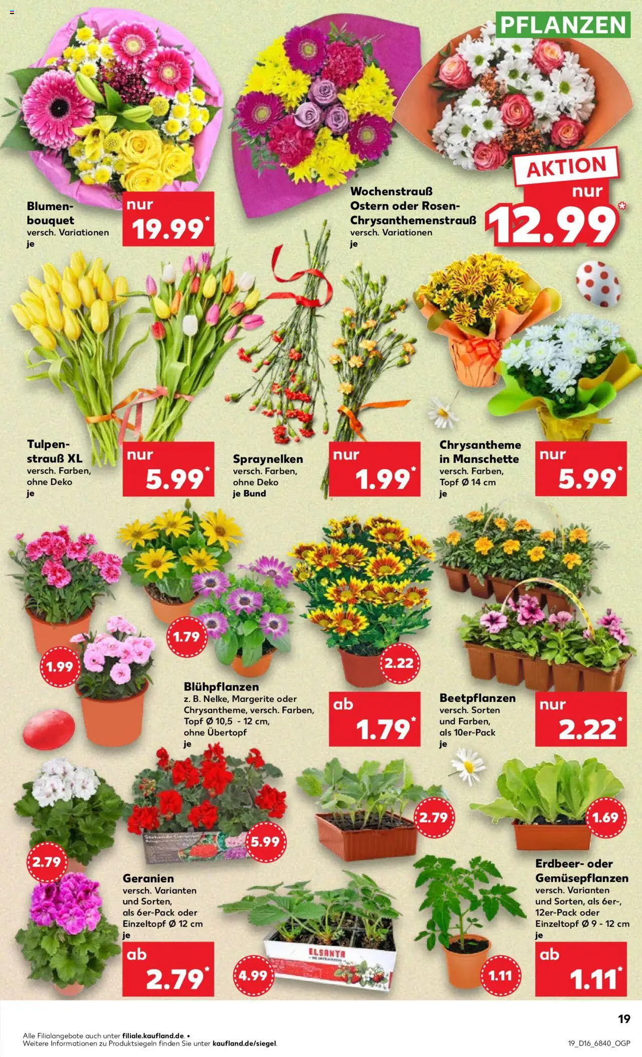 Kaufland - Hamburg, Bergedorfer Straße 106 - gültig ab dem 17.04.2025 | Seite: 19 | Produkte: Blumen, Geranien