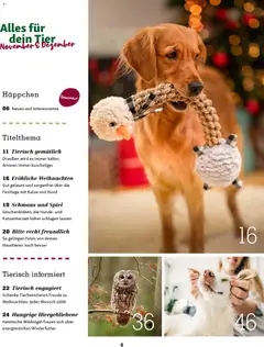 Fressnapf Friends Magazin ab 01.11.2025 gültig | Seite: 4 | Produkte: Spiel