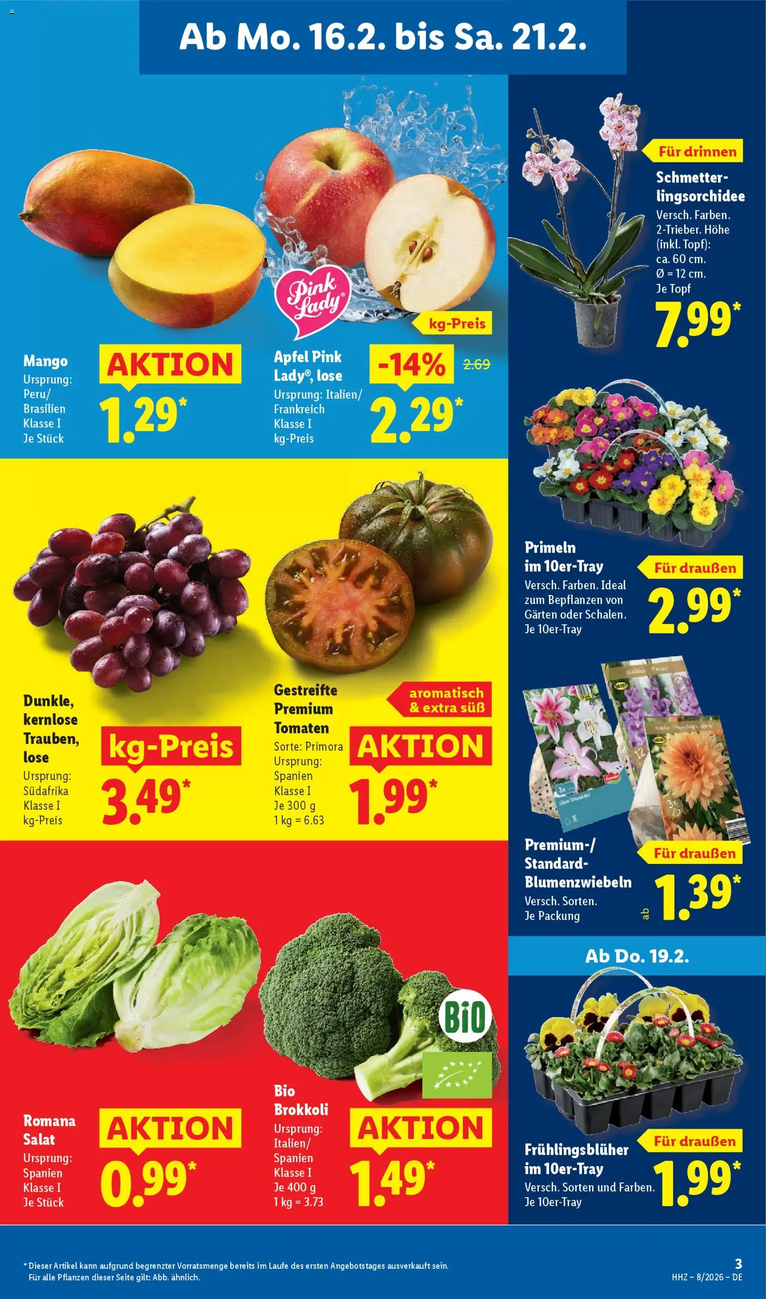 Lidl Prospekt Grimma – gültig ab 16.02.2026 | Seite: 7 | Produkte: Äpfel, Tomaten, Brokkoli, Salat