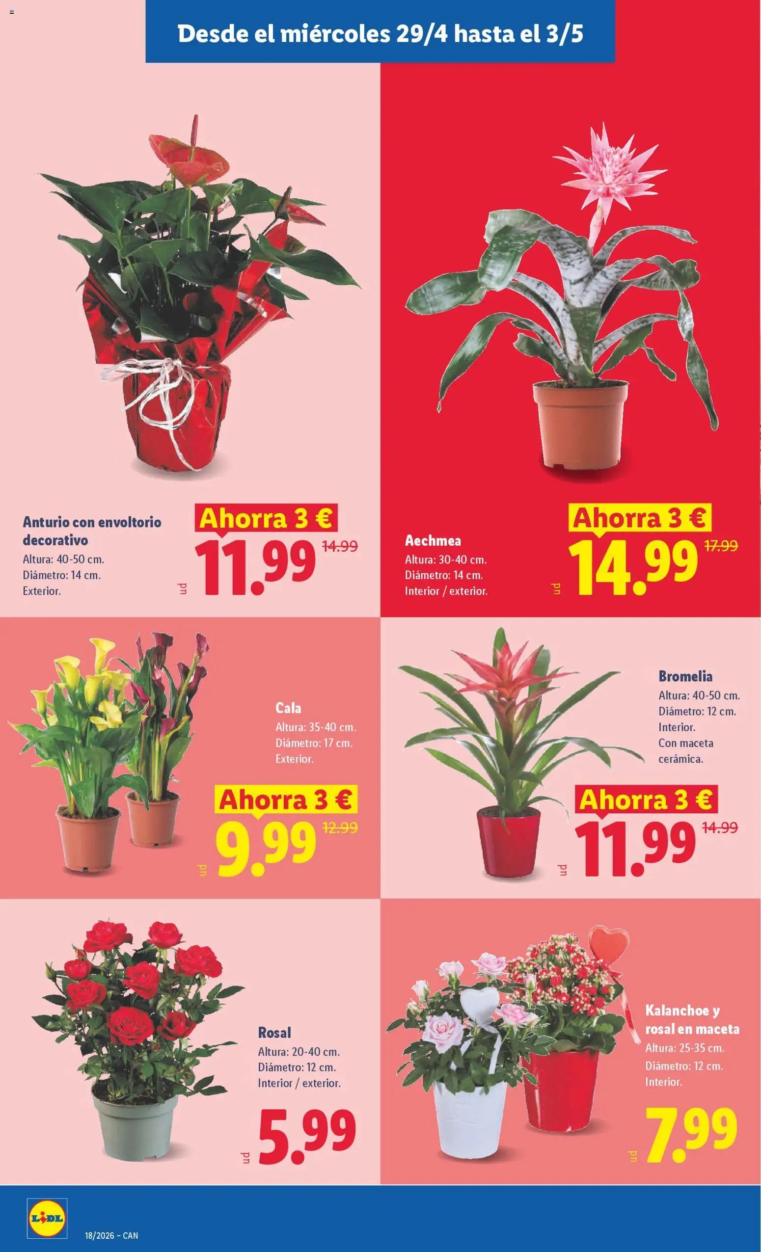 Lidl folleto │ válido desde el 27.04.2026 | Página: 48 | Productos: Maceta