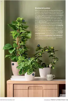 Dehner  Flugblatt ab 10.10.2025 gültig | Seite: 75 | Produkte: Bad