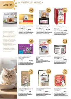 Vista previa El Corte Inglés ofertas válido desde el 01.11.2025 | Página: 10 | Productos: Gelatina, Paté