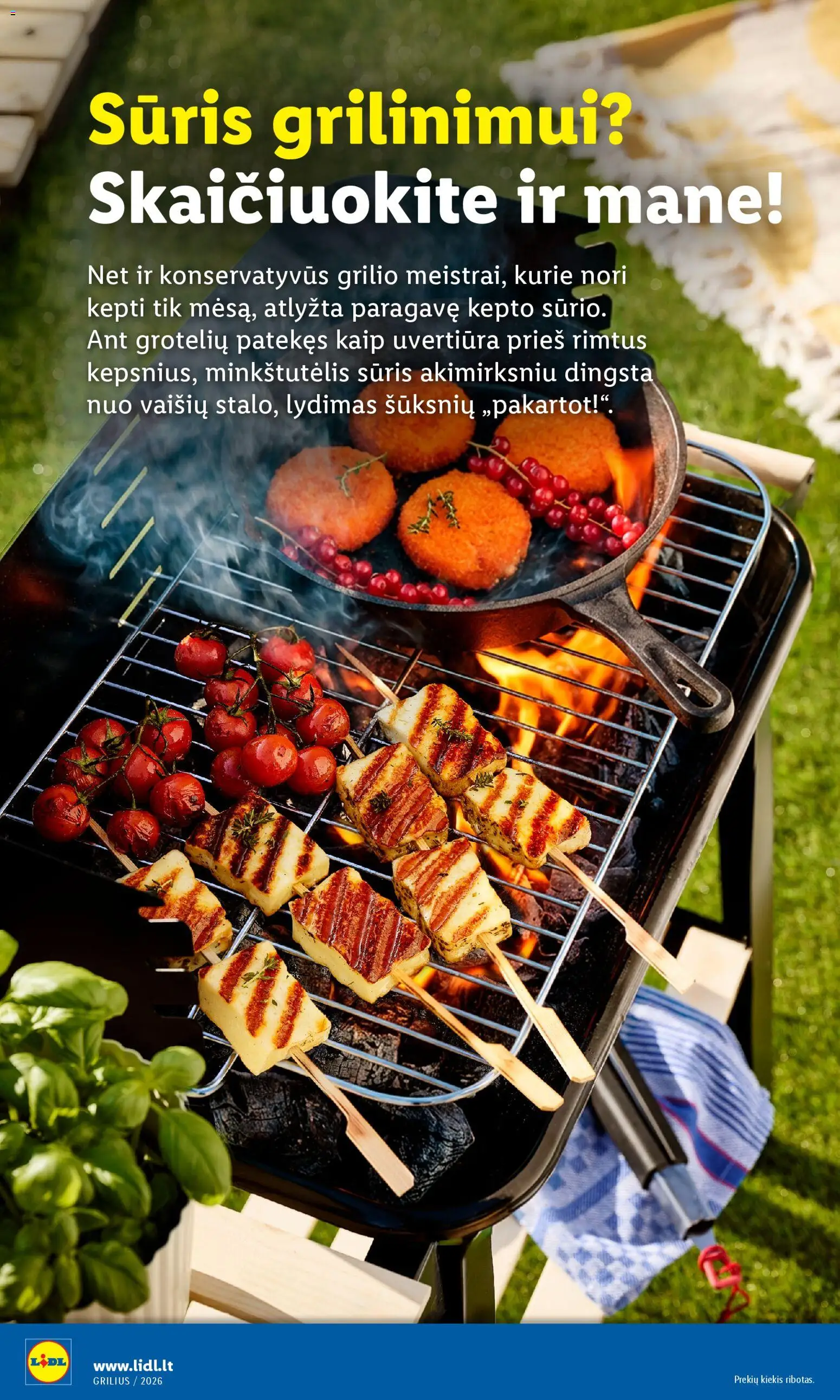 LIDL akcijos nuo 06.04.2026 | Puslapis: 24 | Prekių: Grotelės, Termometras