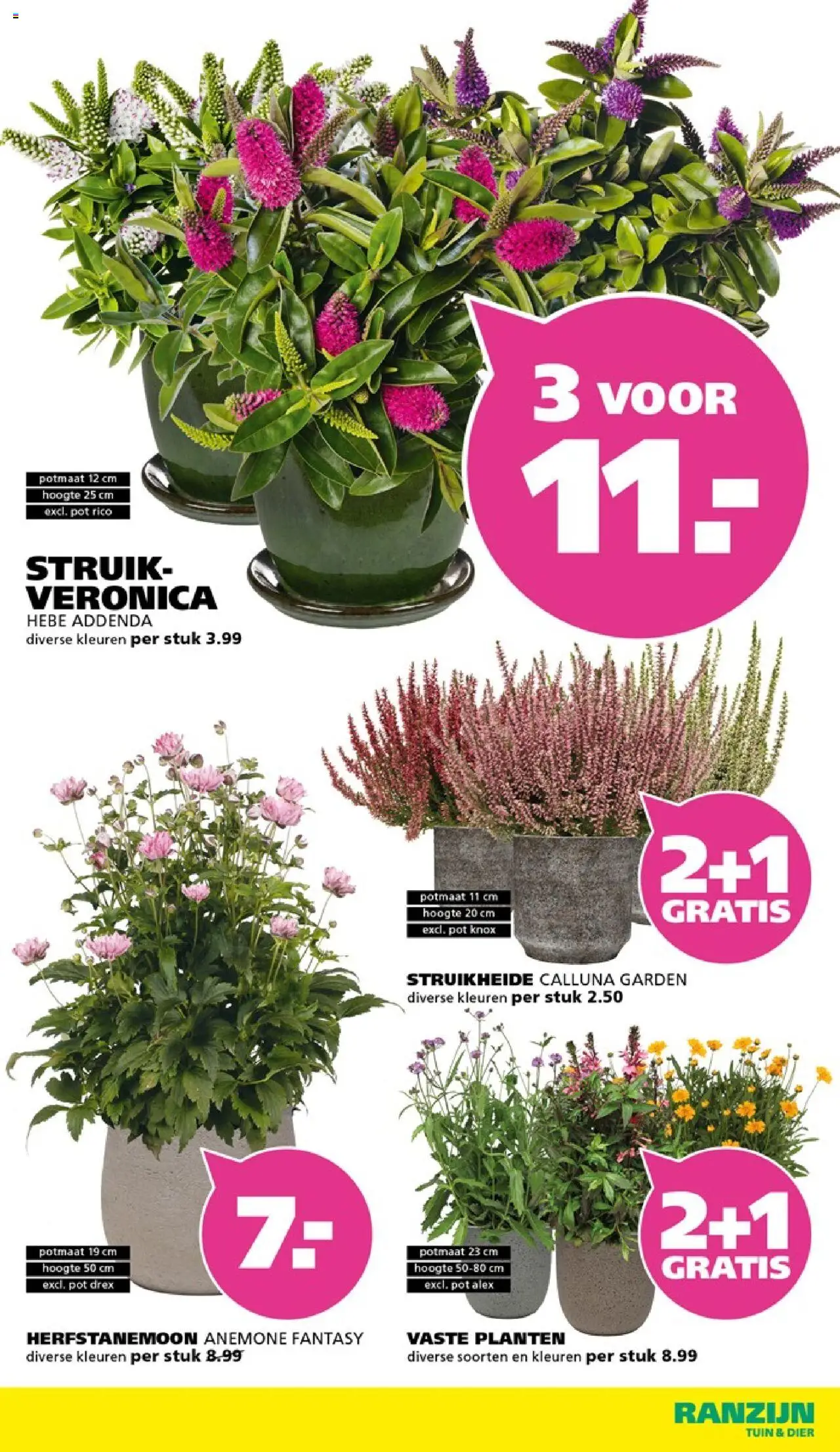  | Pagina: 14 | Producten: Pot