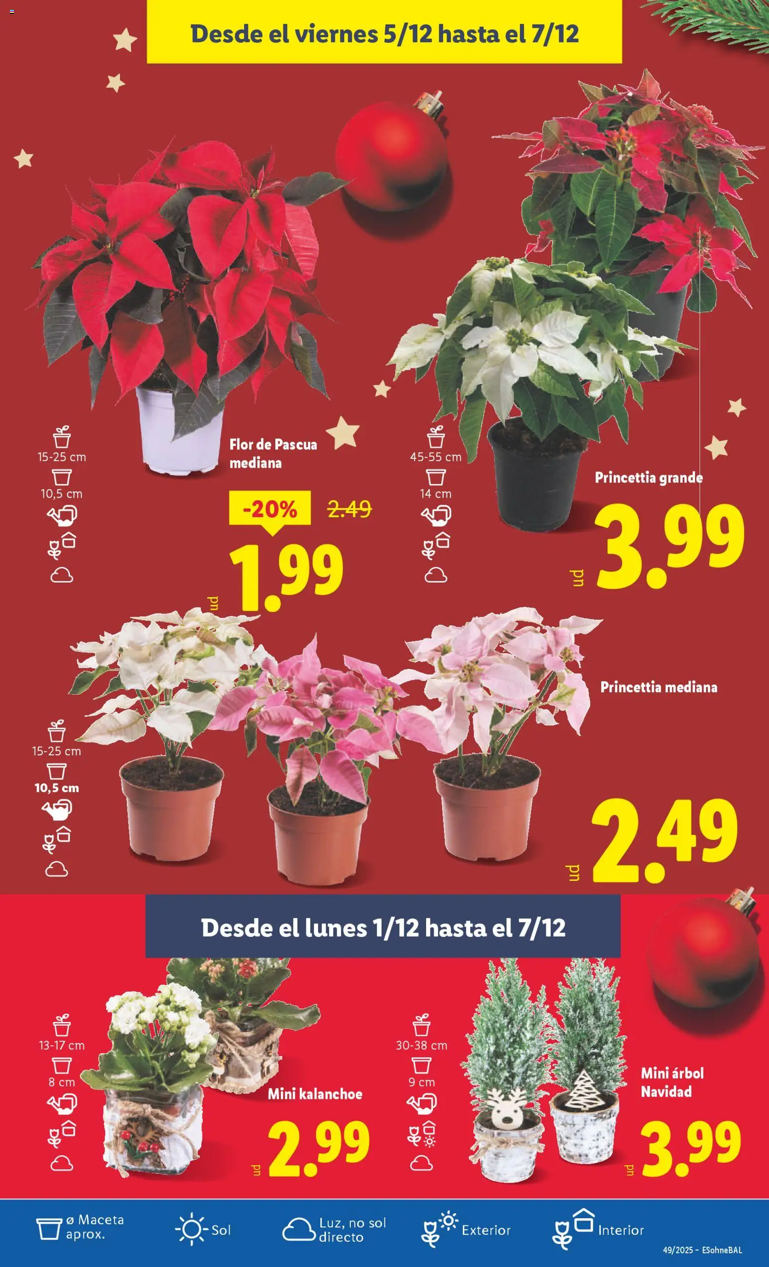 Lidl folleto │ válido desde el 01.12.2025 | Página: 53 | Productos: Maceta