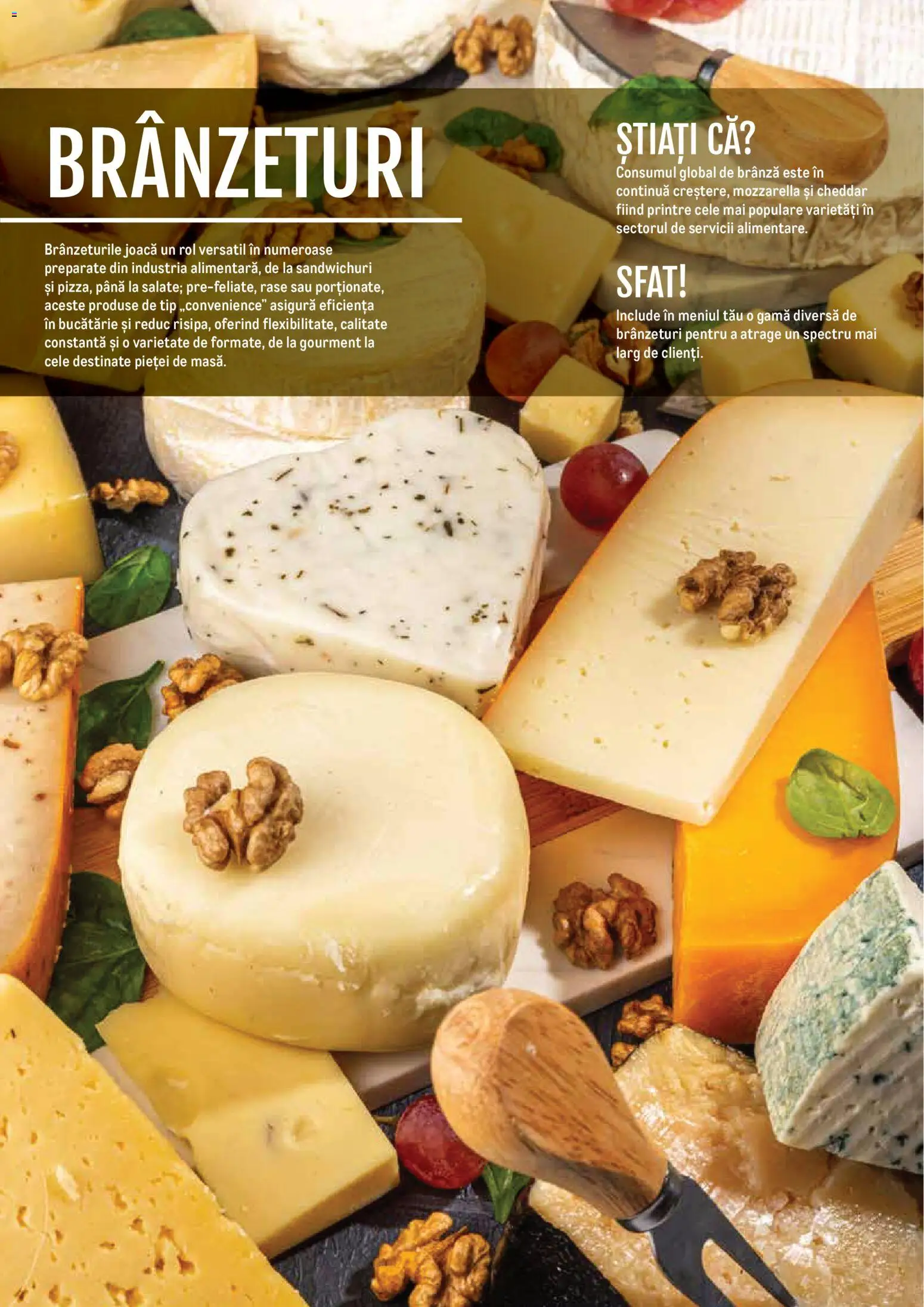 Noul catalog Metro – valabil de la 14.11.2024 | Pagină: 10 | Produse: Bucătărie, Mozzarella, Brânză
