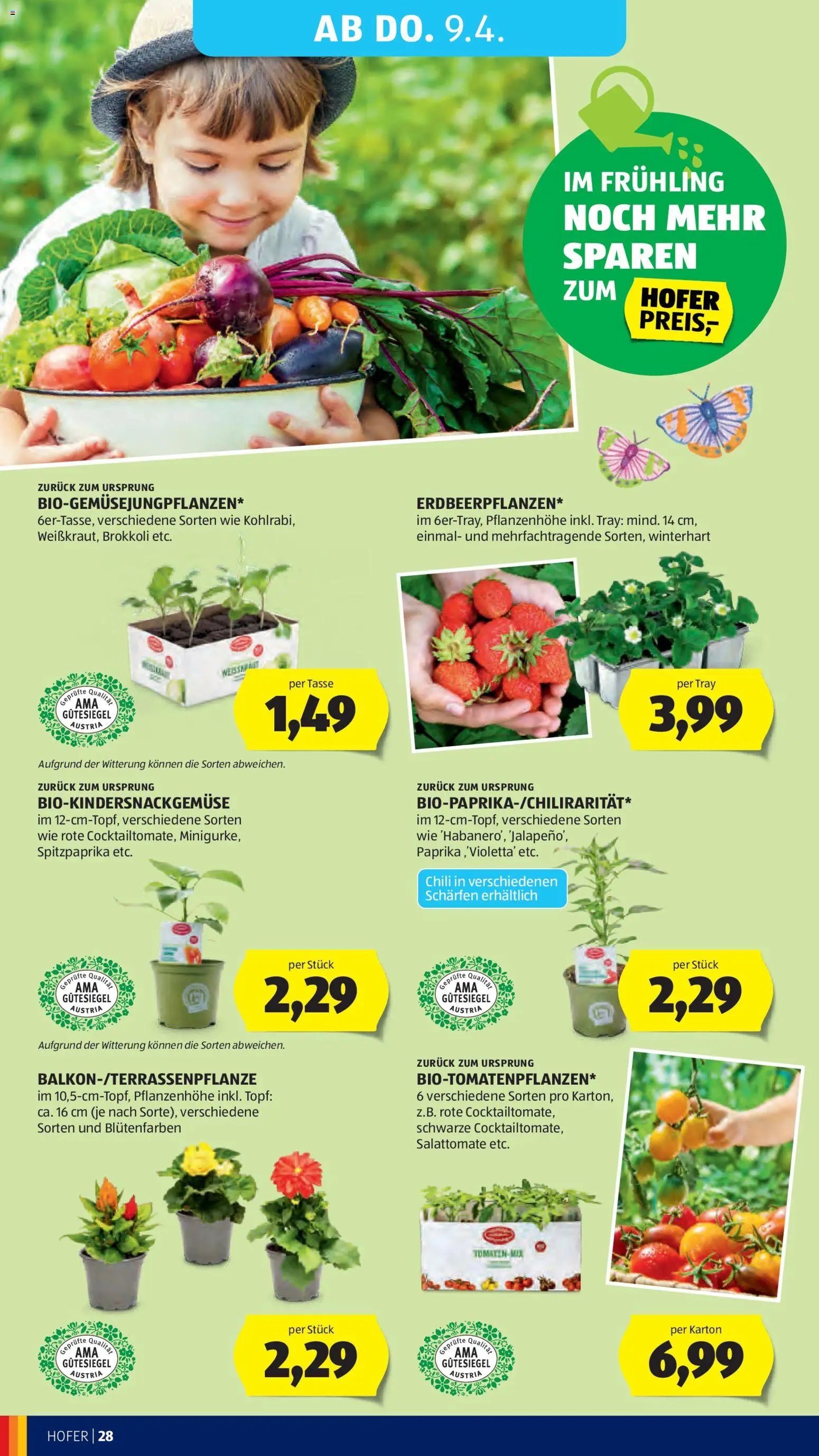 Hofer Flugblatt gültig ab 01.04.2026 | Seite: 32