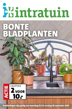 Intratuin - Folder - Voorbeeld van een folder van Intratuin, geldig van 22.09.2025