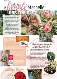 VillaVerde - Prévisualisation de VillaVerde catalogue valide à partir de 01.04.2026 | Page: 26 | Produits: Rosier, Clôture, Magazine, Crème