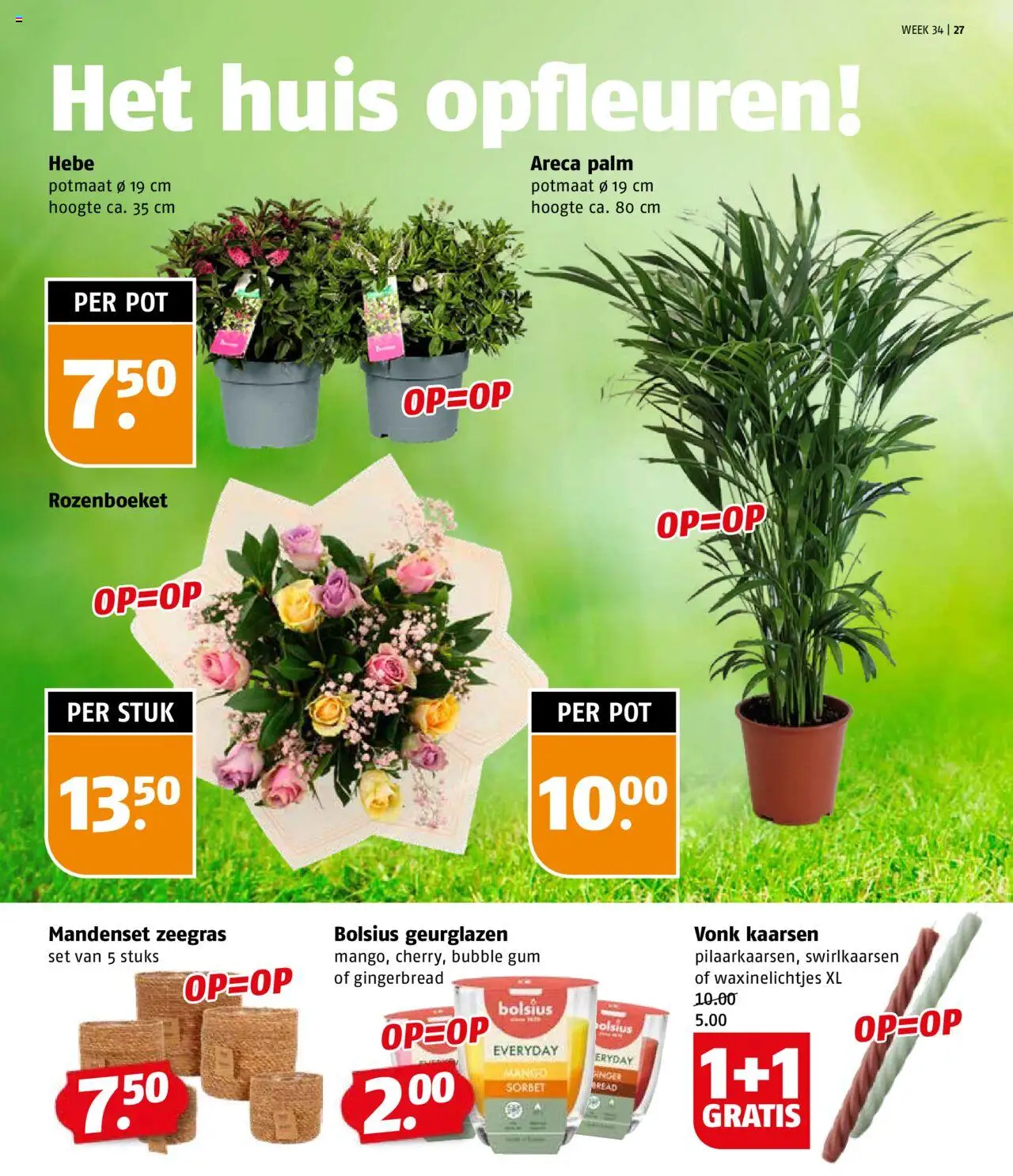  | Pagina: 27 | Producten: Gum, Pot, Kaarsen, Mango