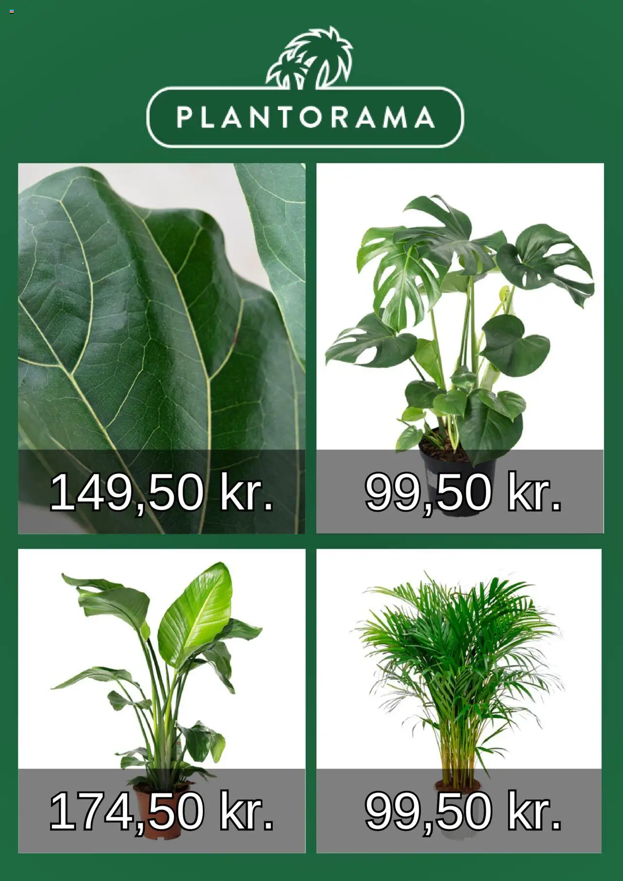 Plantorama Tilbudsavis gyldig fra 10.08.2025 | Side: 3