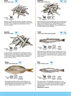 Metro riba i plodovi mora - pregled Metro kataloga - važi od 10.12.2025 | Strana: 11 | Proizvode: Oslić, Riba