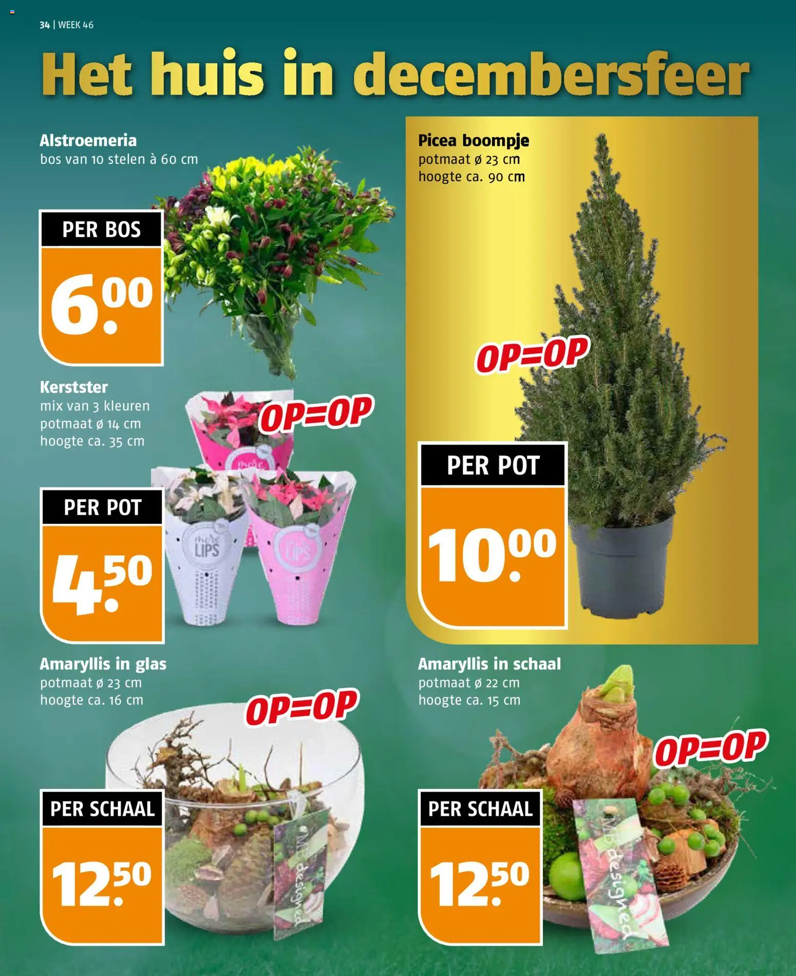 {H1} | Pagina: 34 | Producten: Pot, Schaal