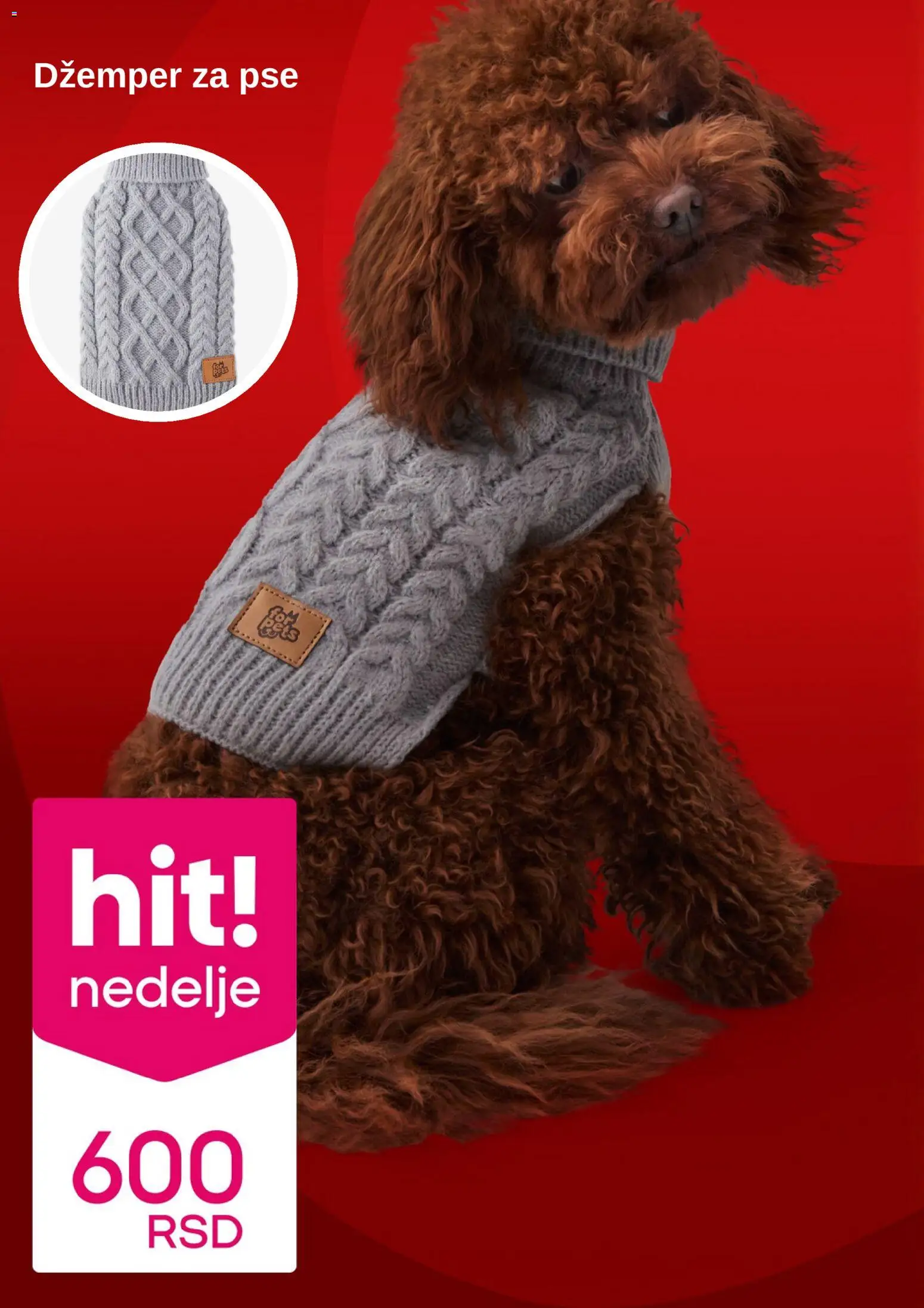 Pepco katalog - važi od 13.11.2025 | Strana: 10 | Proizvode: Džemper