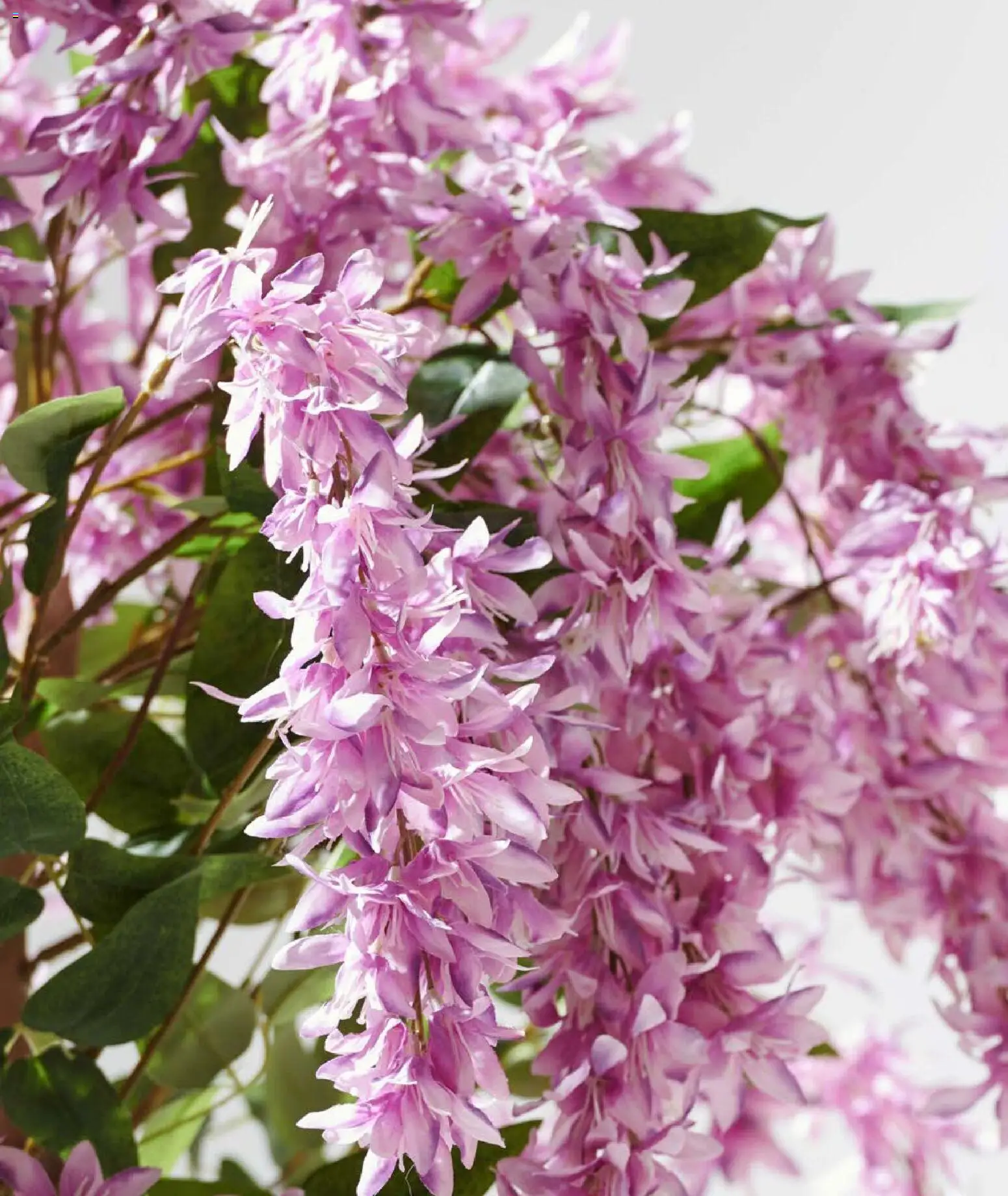 Mudo - Katalog  Ağaç 2026 - 01.01.2026 tarihinden itibaren geçerlidir | Sayfa: 2