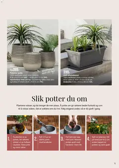 Forhåndsvisning av Europris Sommerkatalogen 2026 gyldig fra 24.03.2026 | Side: 15 | Produkter: Desk, Persienn, Вермішель