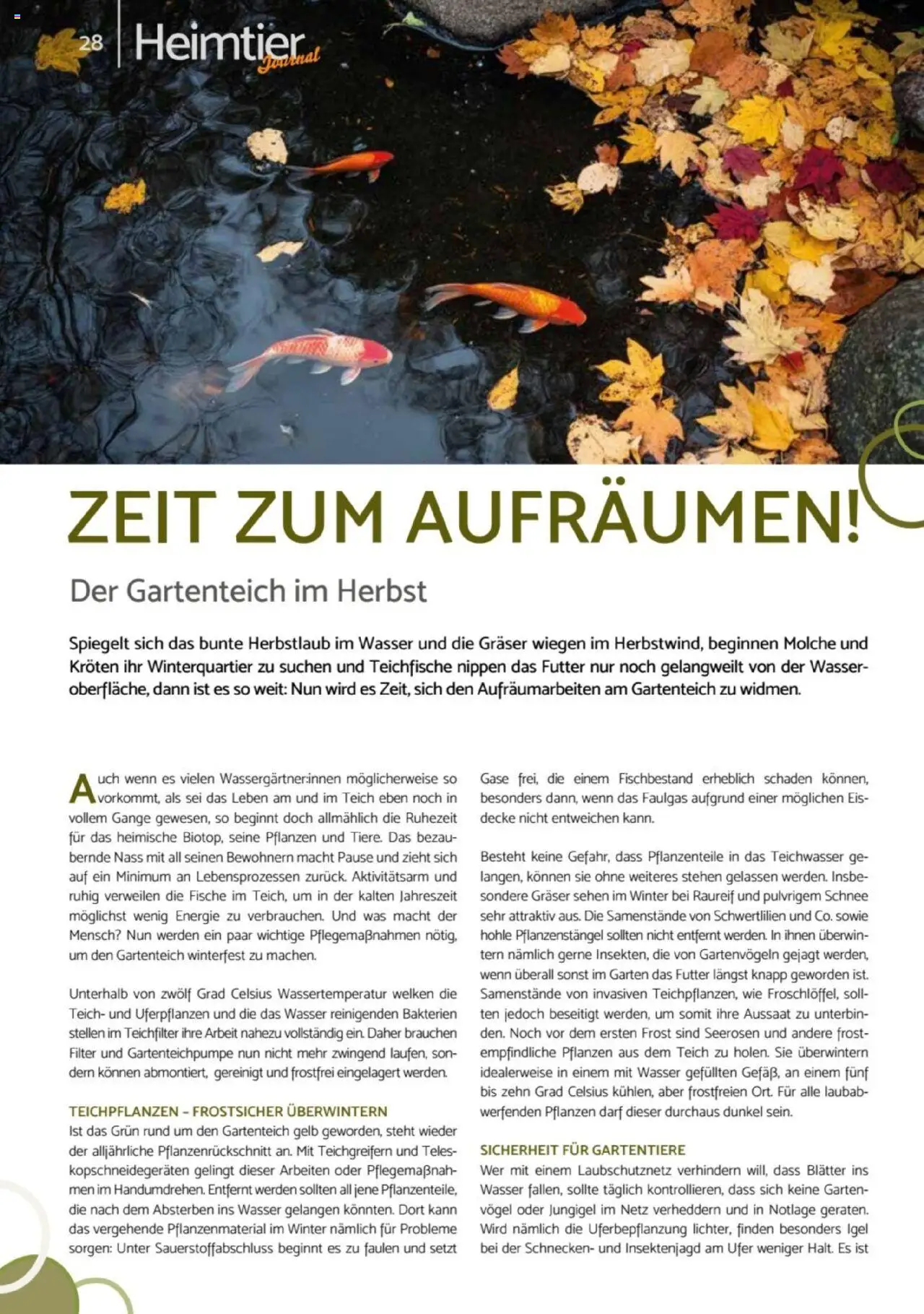 zookauf Heimtier Journal – gültig ab 01.10.2025 | Seite: 28 | Produkte: Decke, Wasser, Eis