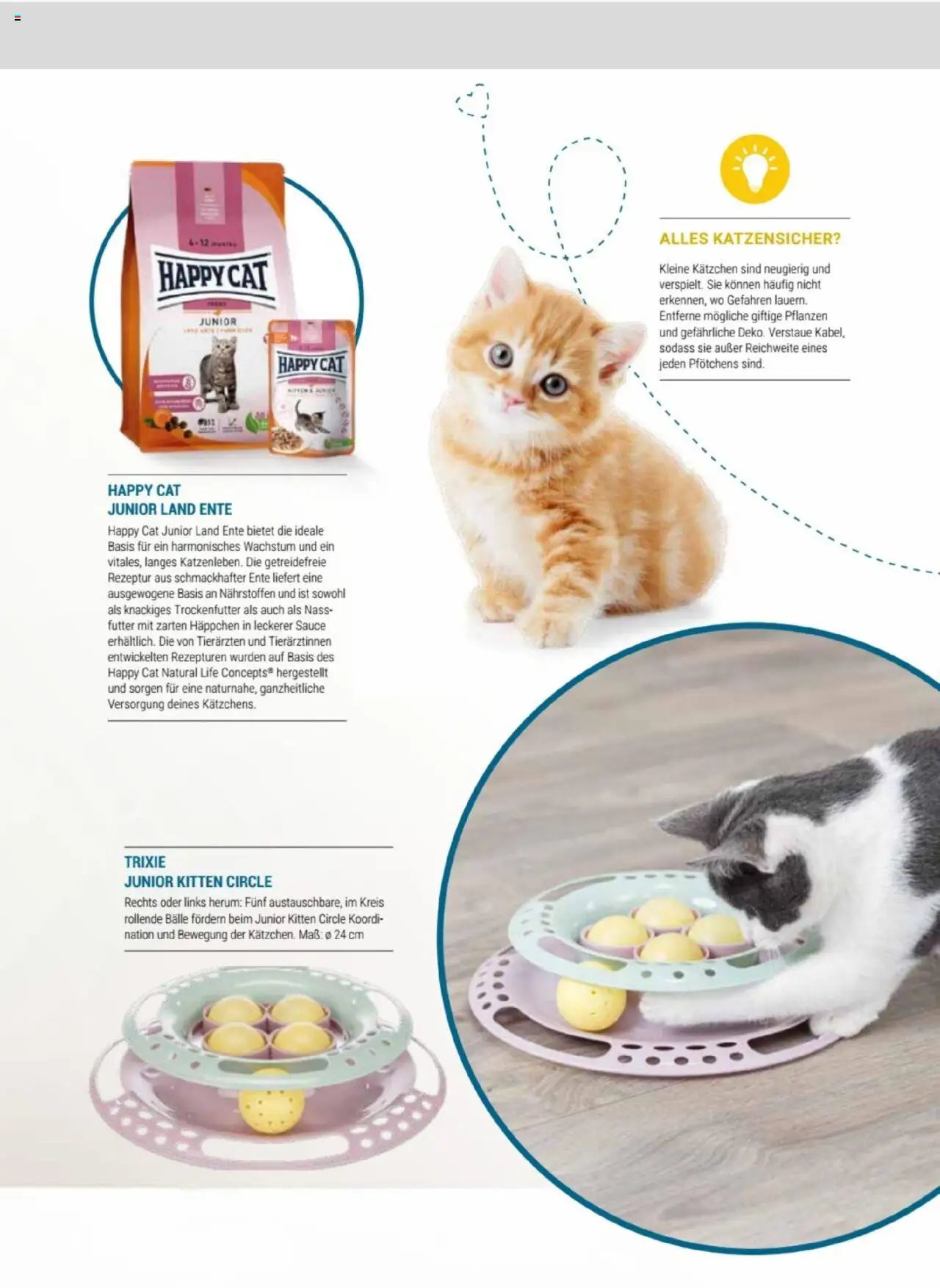 zookauf Themenkatalog Katze – gültig ab 01.10.2025 | Seite: 7 | Produkte: Ente