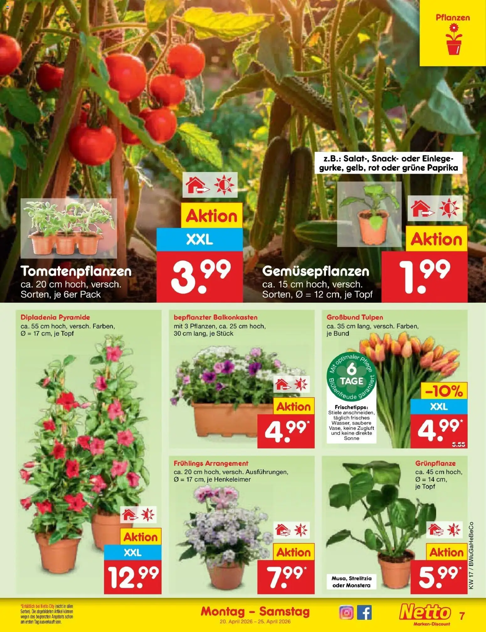 Netto Marken-Discount Prospekt Bitterfeld-Wolfen	 – gültig ab 20.04.2026 | Seite: 9 | Produkte: Paprika