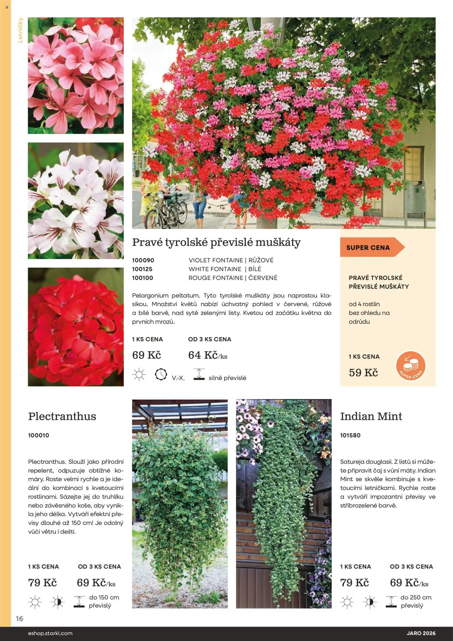 Starkl katalog Jaro 2026 od 25.02.2026 | Strana: 16 | Produkty: Muškáty, Čaj