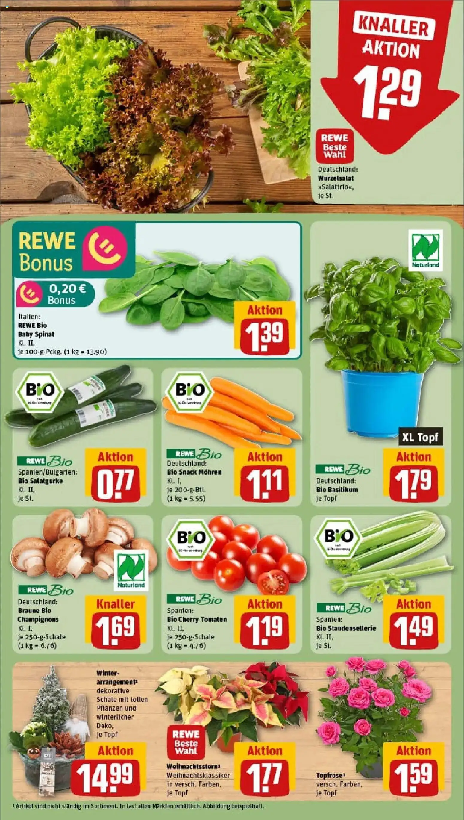 Rewe prospekt Ulm / Boefingen	 – gültig ab 10.11.2025 | Seite: 7 | Produkte: Tomaten, Mohren, Champignons