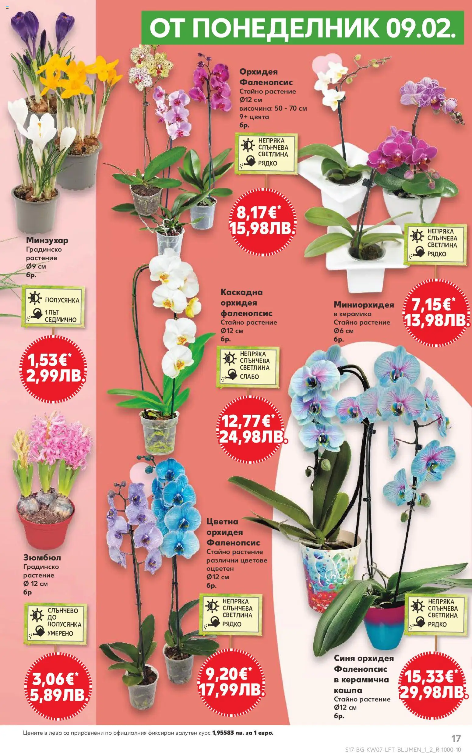 {H1} | Страница: 17