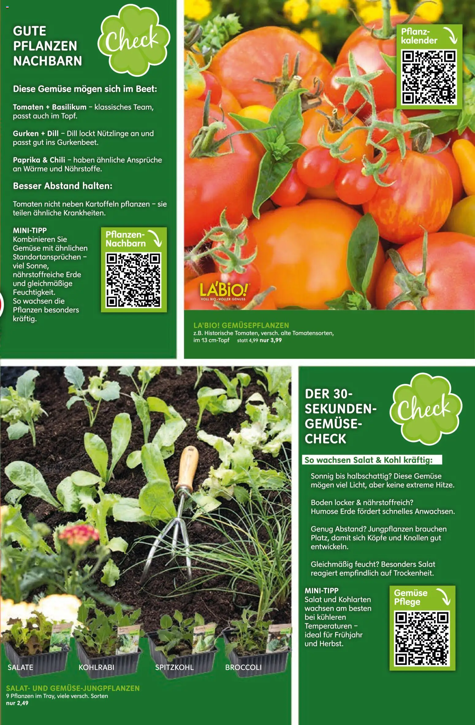 Blumen Risse Prospekt Blumenmarkt – gültig ab 16.04.2026 | Seite: 3 | Produkte: Tomaten, Gemüse, Paprika, Dill
