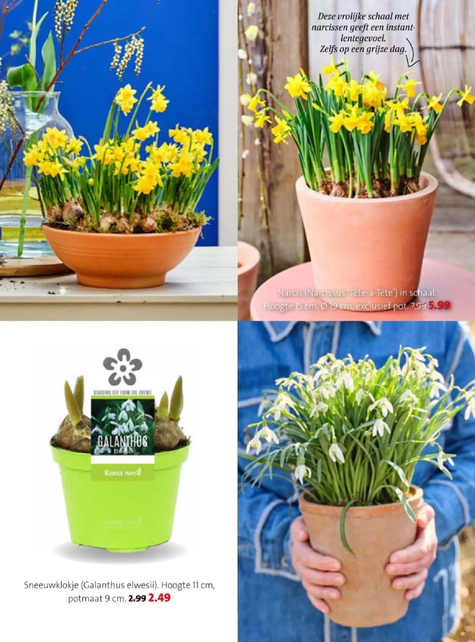 {H1} | Pagina: 19 | Producten: Schaal