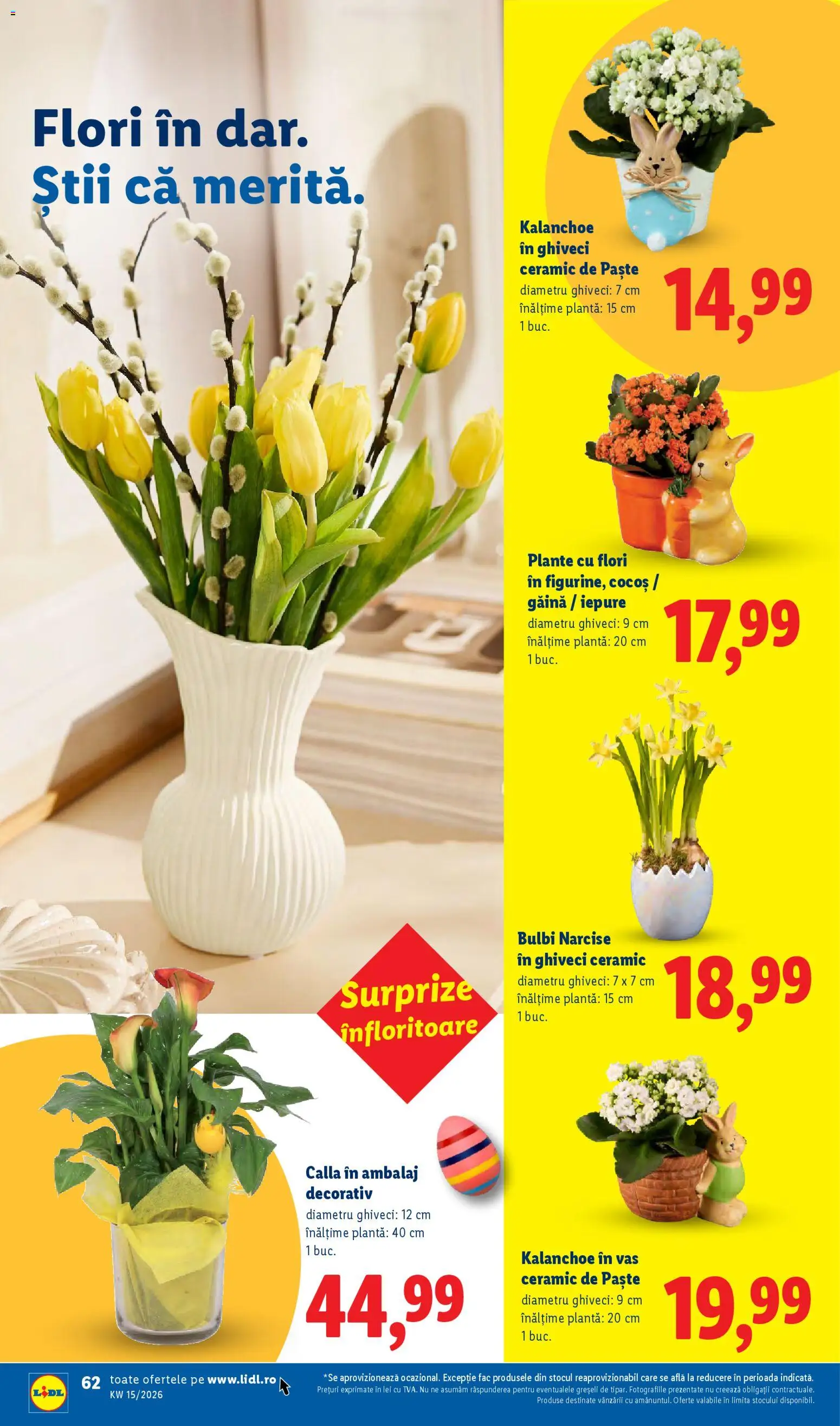 Noul catalog Lidl – valabil de la 06.04.2026 | Pagină: 62 | Produse: Ghiveci, Paste
