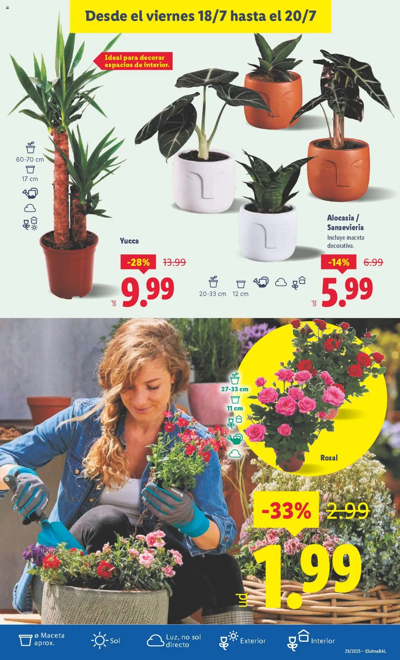 Lidl catálogo de bazar MAD │ válido desde el 14.07.2025 | Página: 25 | Productos: Maceta