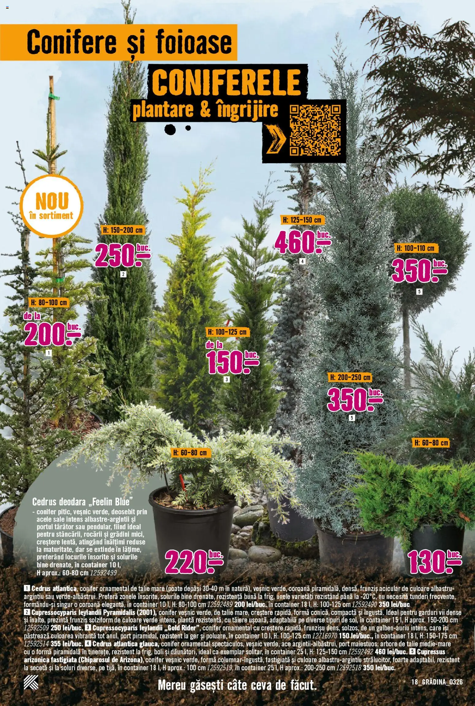 Noul catalog Hornbach – valabil de la 23.03.2026 | Pagină: 18