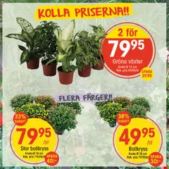 EKO - erbjudanden - Förhandsvisning av reklamblad från butik EKO aktuell från 11.08.2025