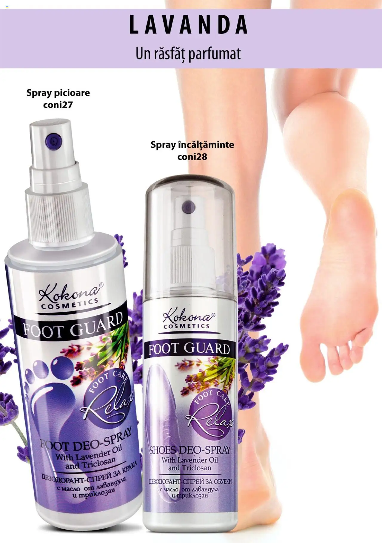Lady’s catalog - Brosura – valabil de la 19.12.2019 | Pagină: 85