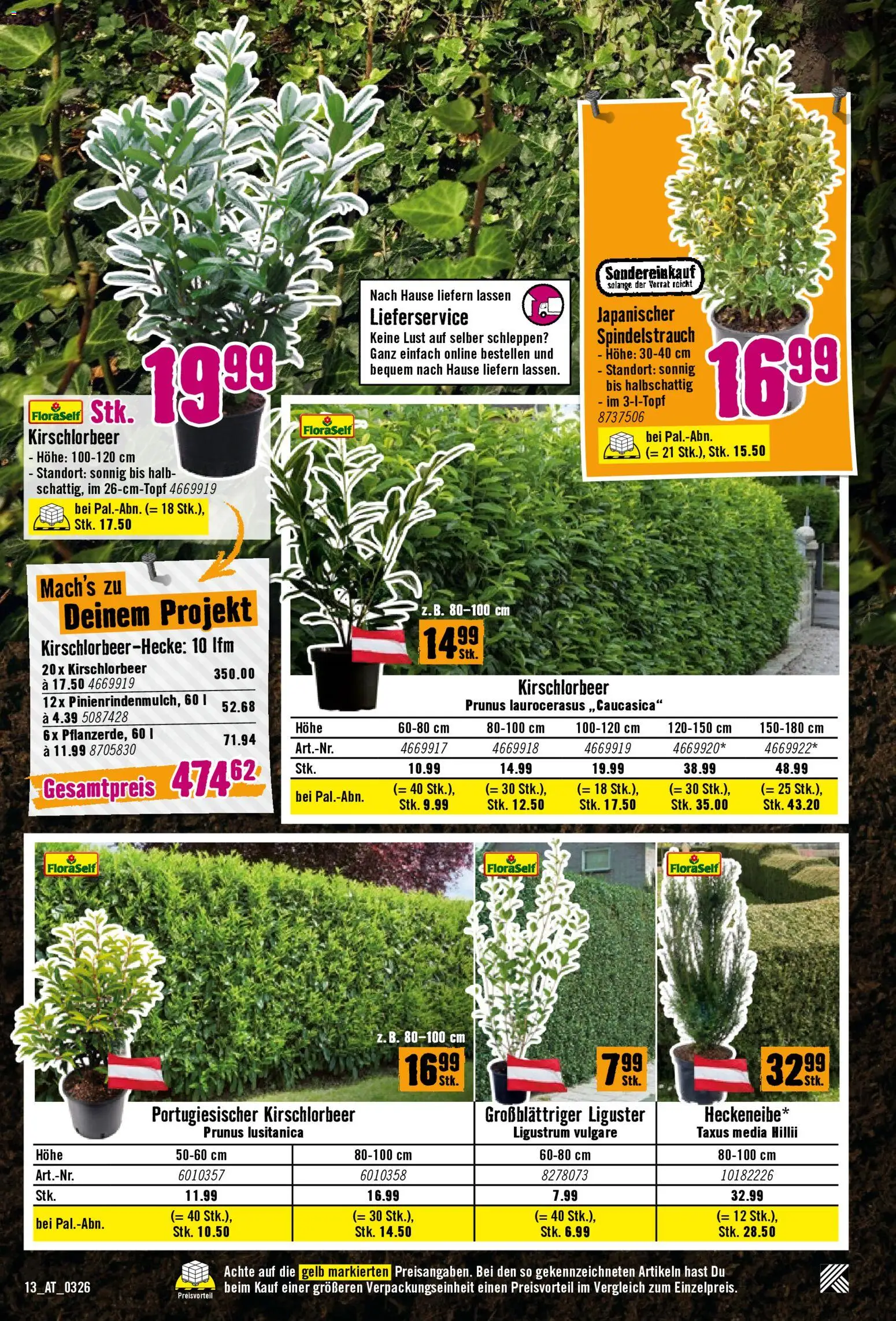 Hornbach Flugblatt gültig ab 17.03.2026 | Seite: 13
