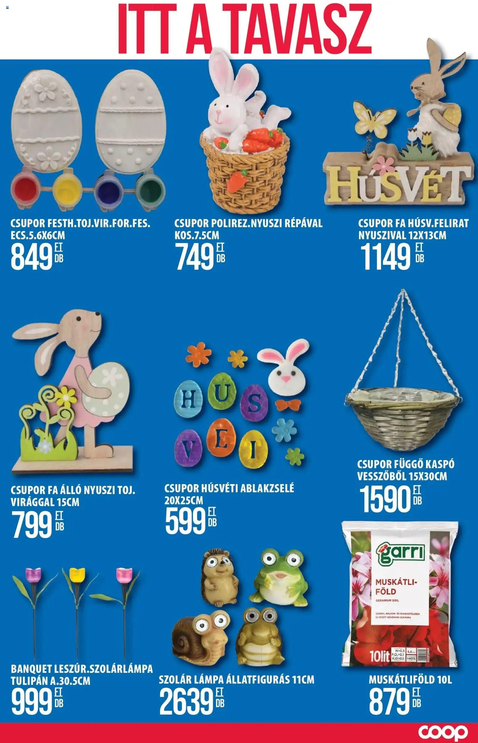 COOP Szolnok akciós ujság - amely érvényes a következő dátumtól: 12.03.2026 | Oldal: 11 | Termékek: Lámpa, Tulipán, Kaspó