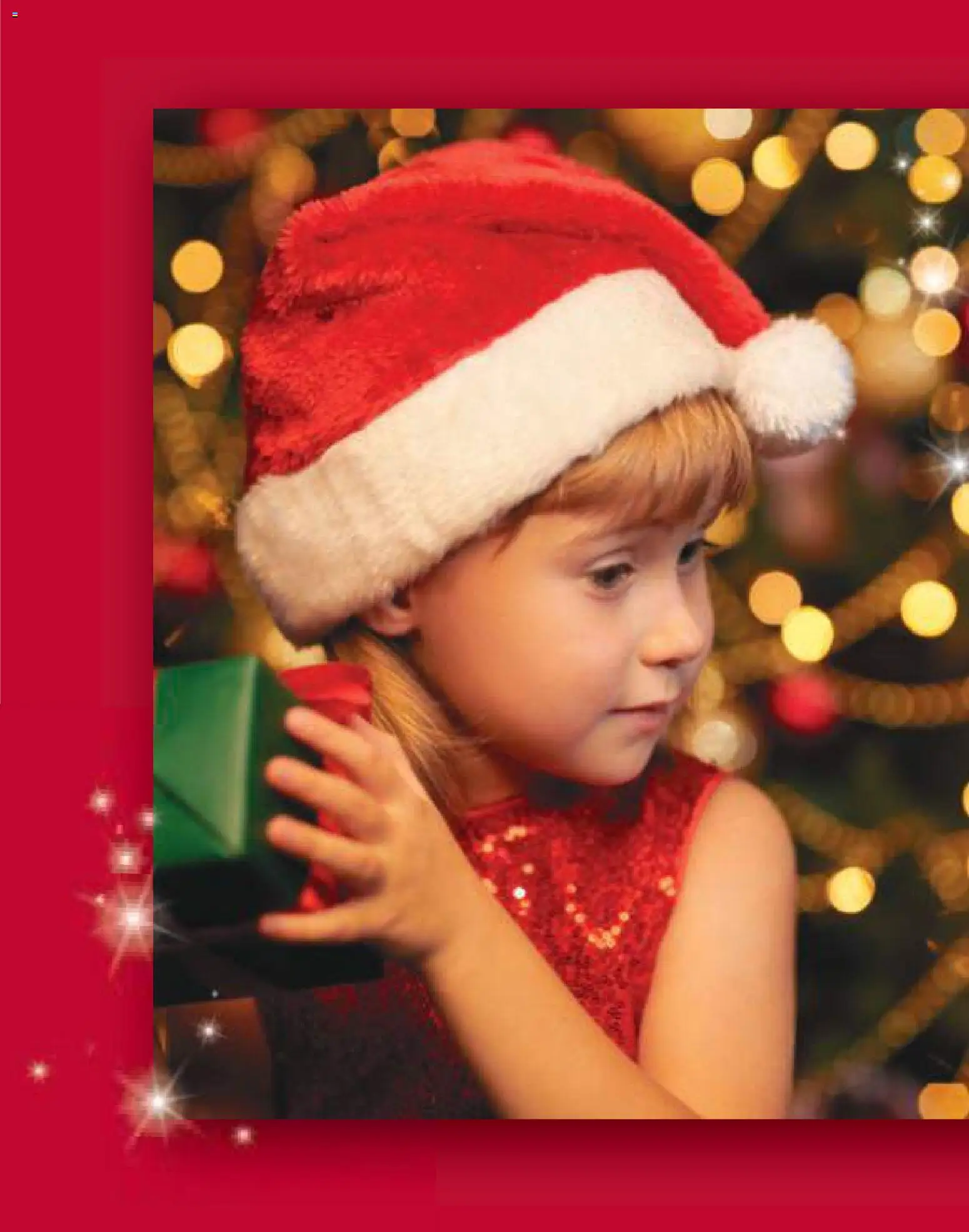 Idea katalog - važi od 11.12.2025 | Strana: 6