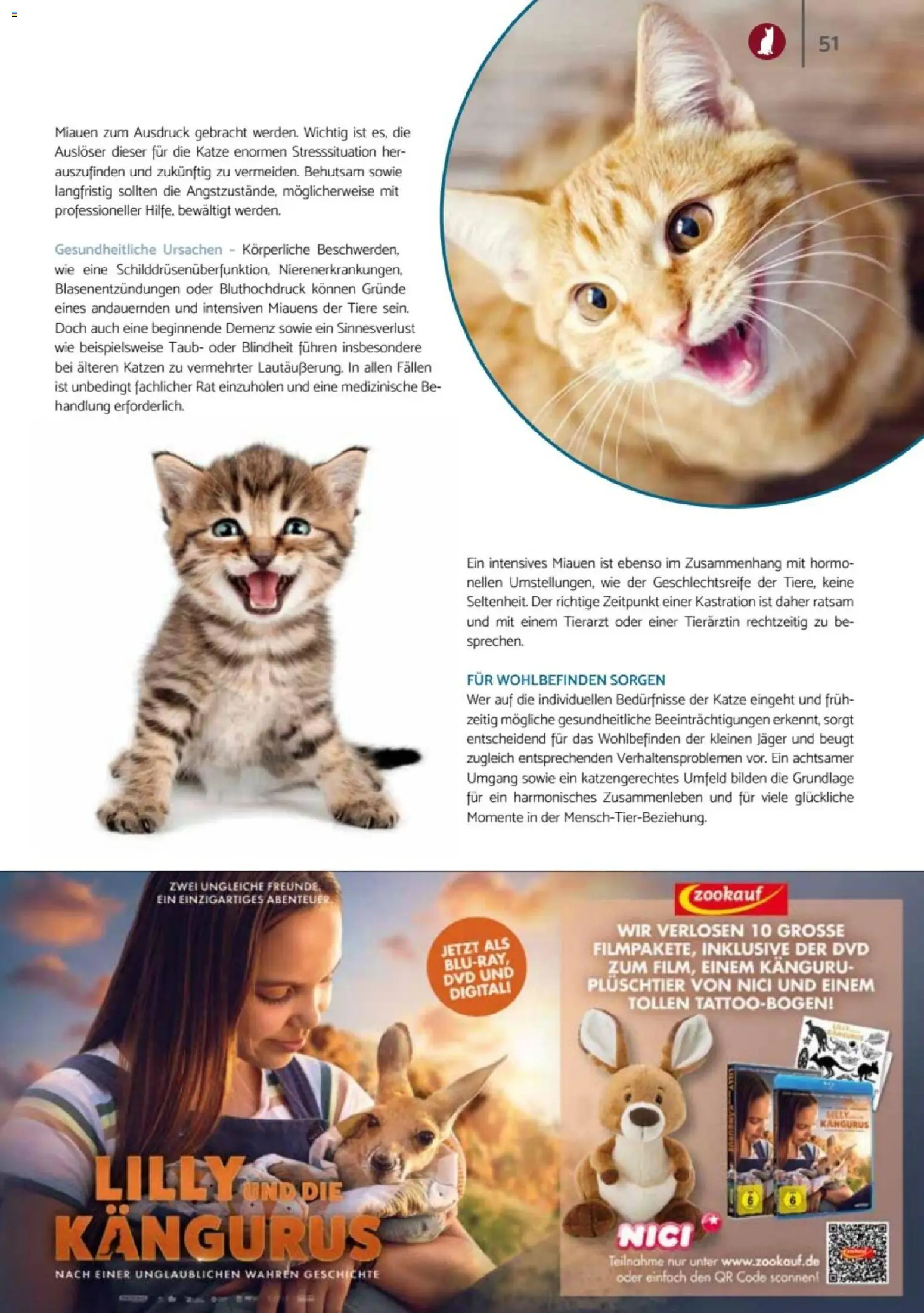 zookauf - Heimtier Journal – gültig ab 01.12.2025 | Seite: 51 | Produkte: Dvd