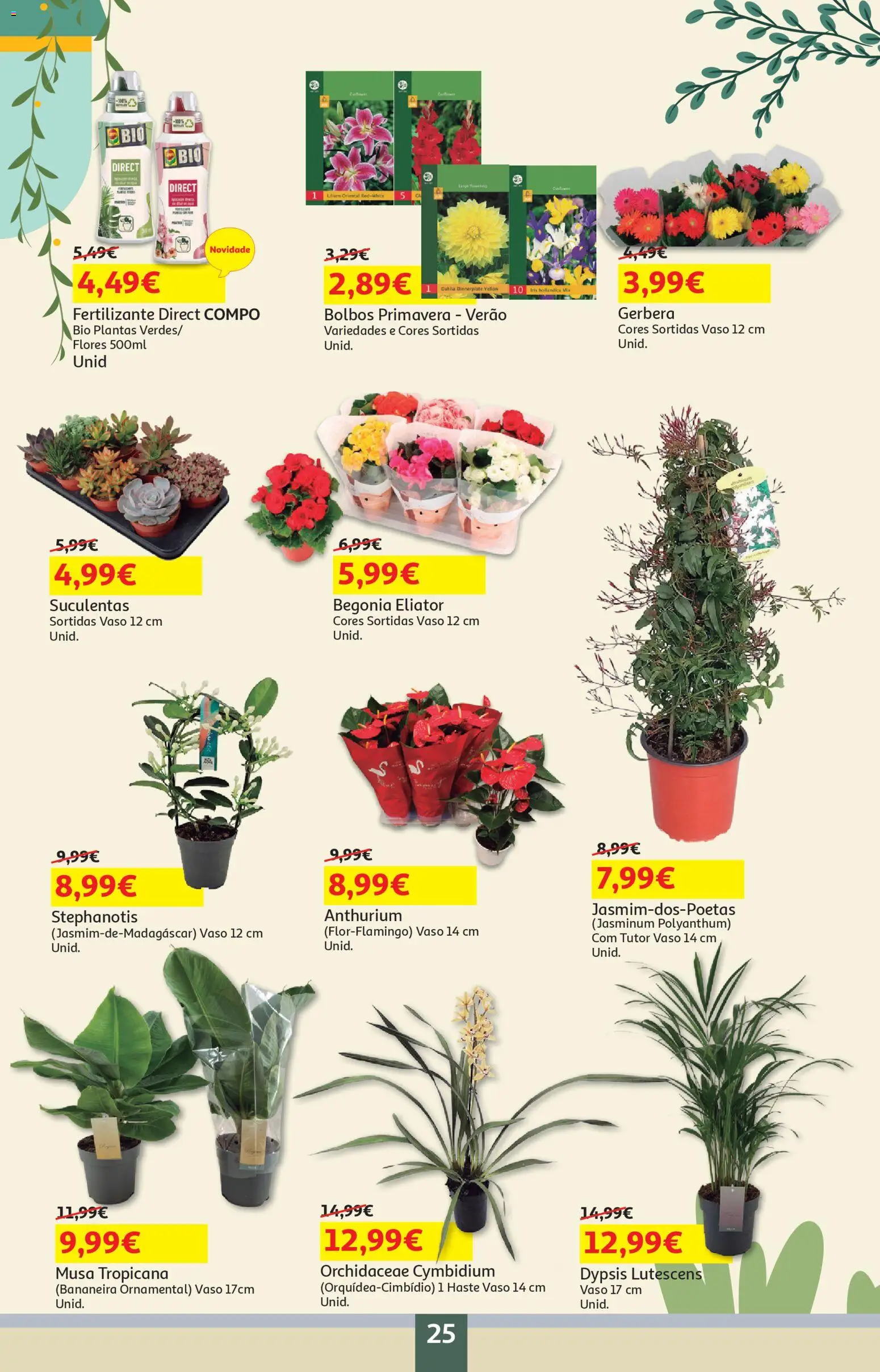 Auchan - Festa das Marcas │ válido de 03.03.2026 | Página: 25 | Produtos: Flores, Vaso