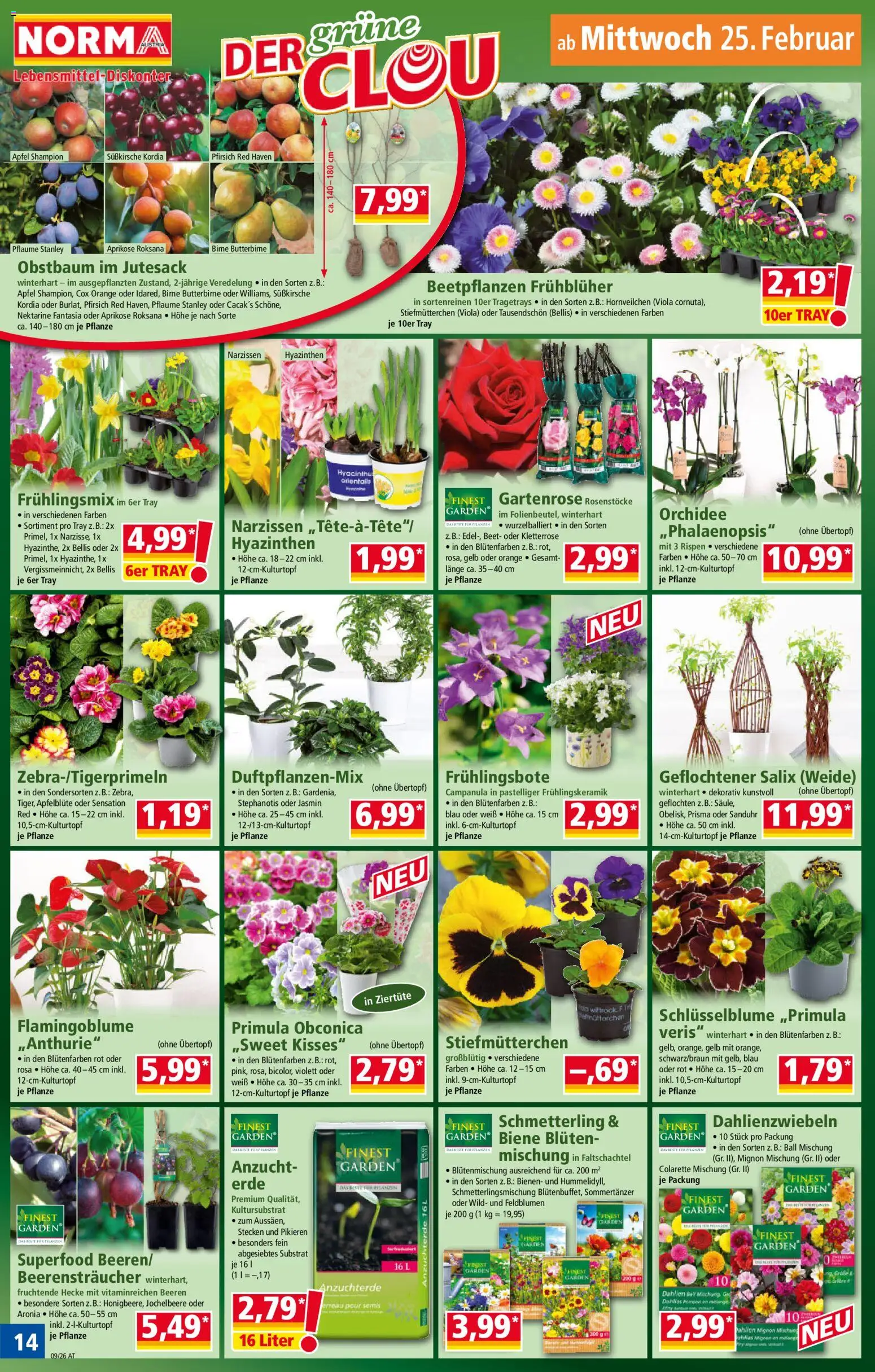 Norma Flugblatt gültig ab 23.02.2026 | Seite: 14 | Produkte: Pfirsich, Nektarine, Birne, Äpfel