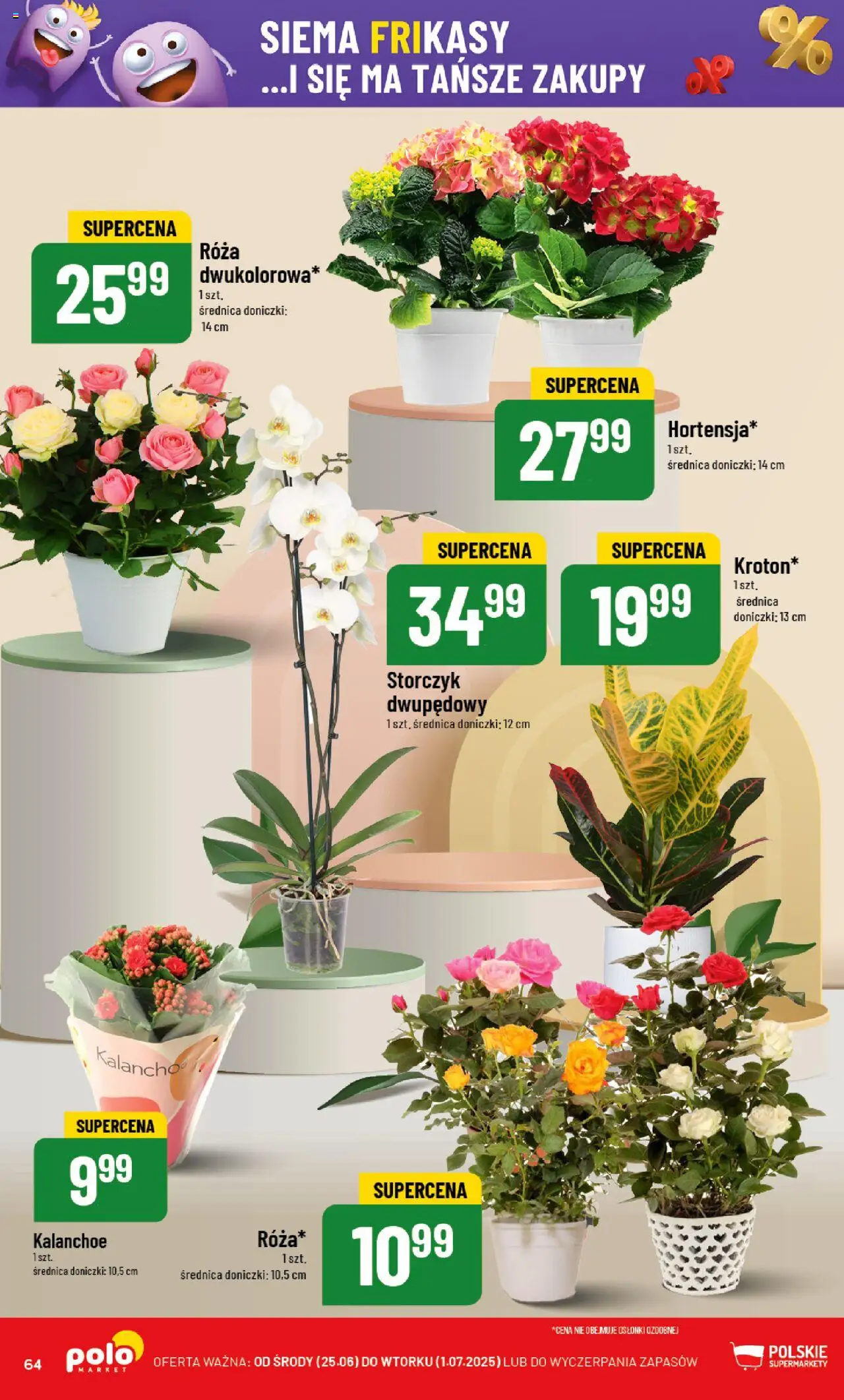 POLOmarket Gazetka od 25.06.2025 | Strona: 64 | Produkty: Doniczki, Kalanchoe, Storczyk