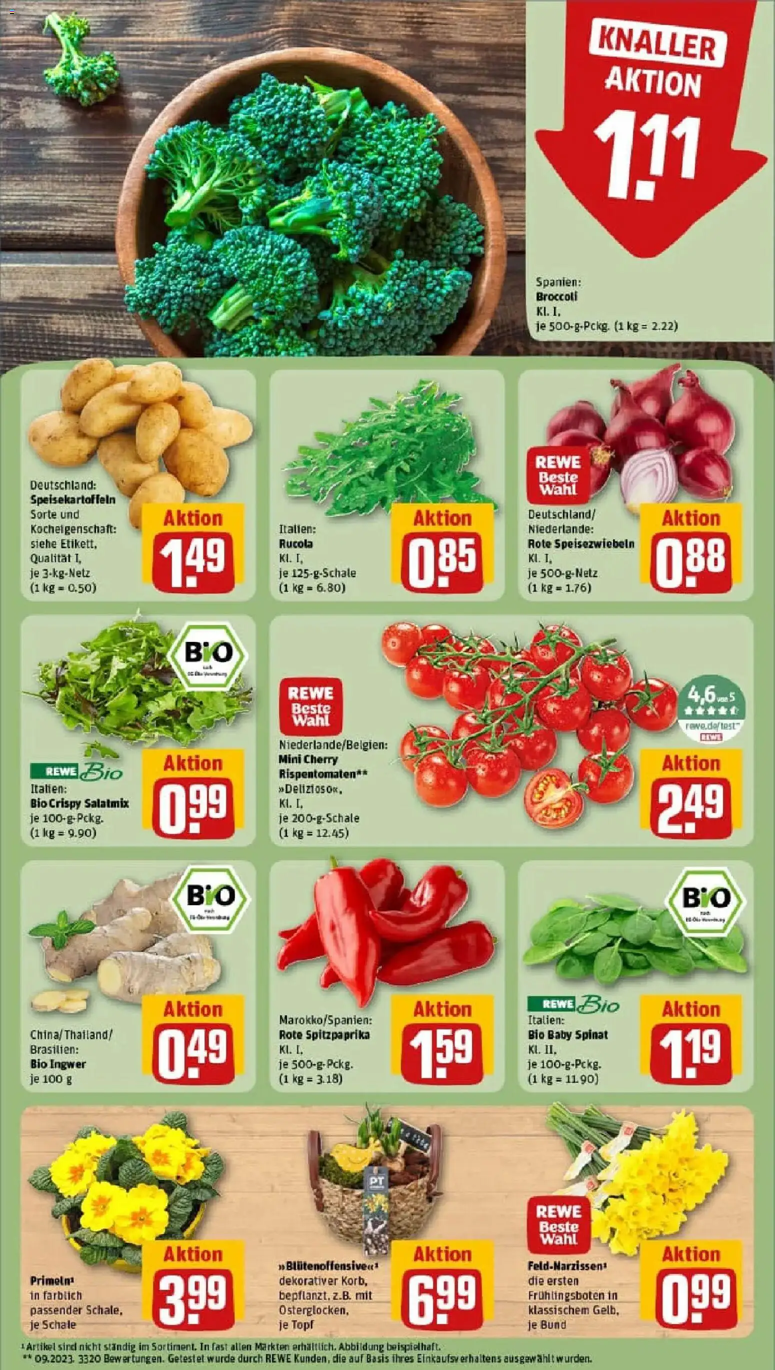 Rewe prospekt Neuss	 – gültig ab 26.01.2026 | Seite: 7 | Produkte: Rucola