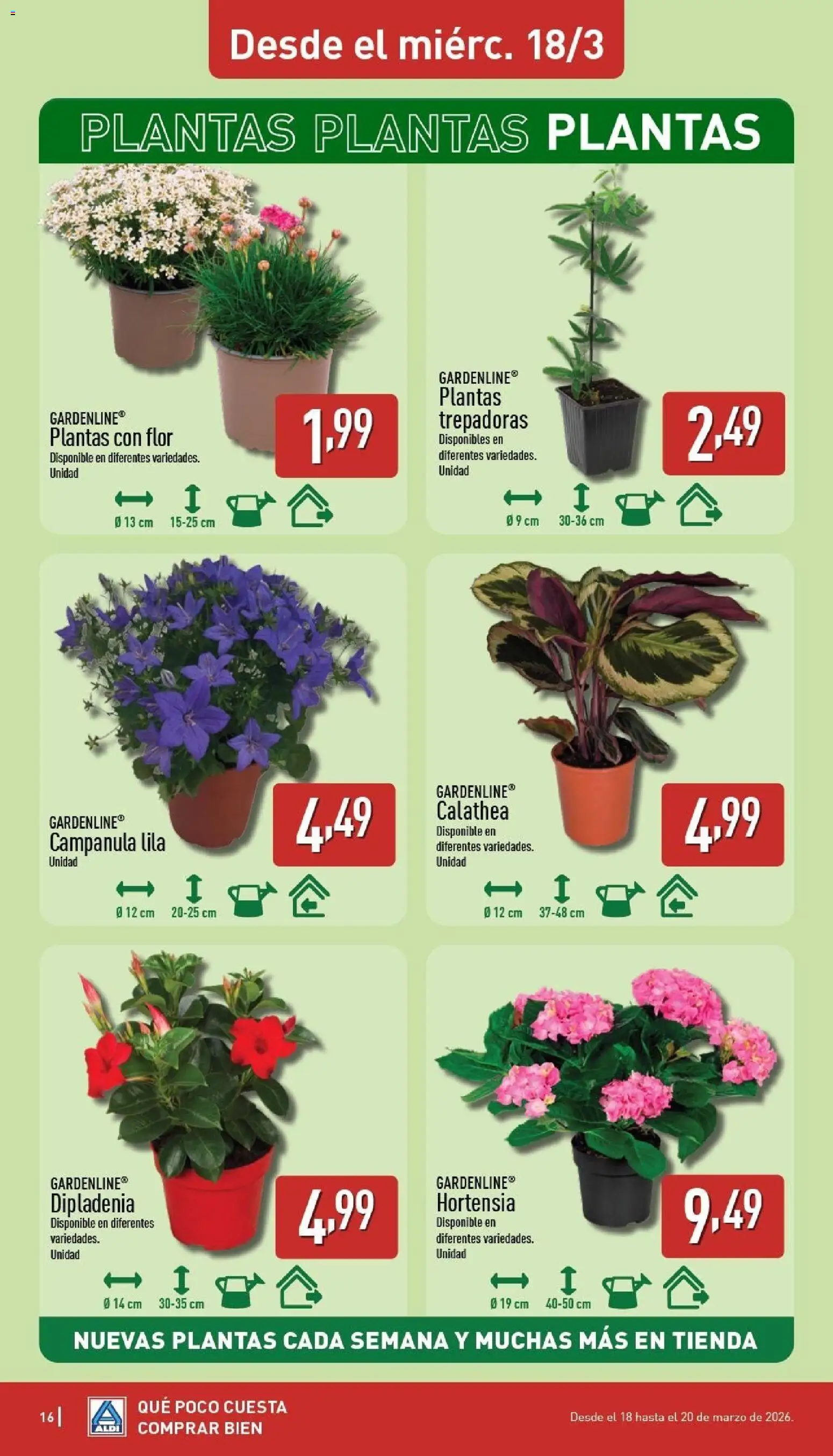 Aldi folleto Península │ válido desde el 16.03.2026 | Página: 16